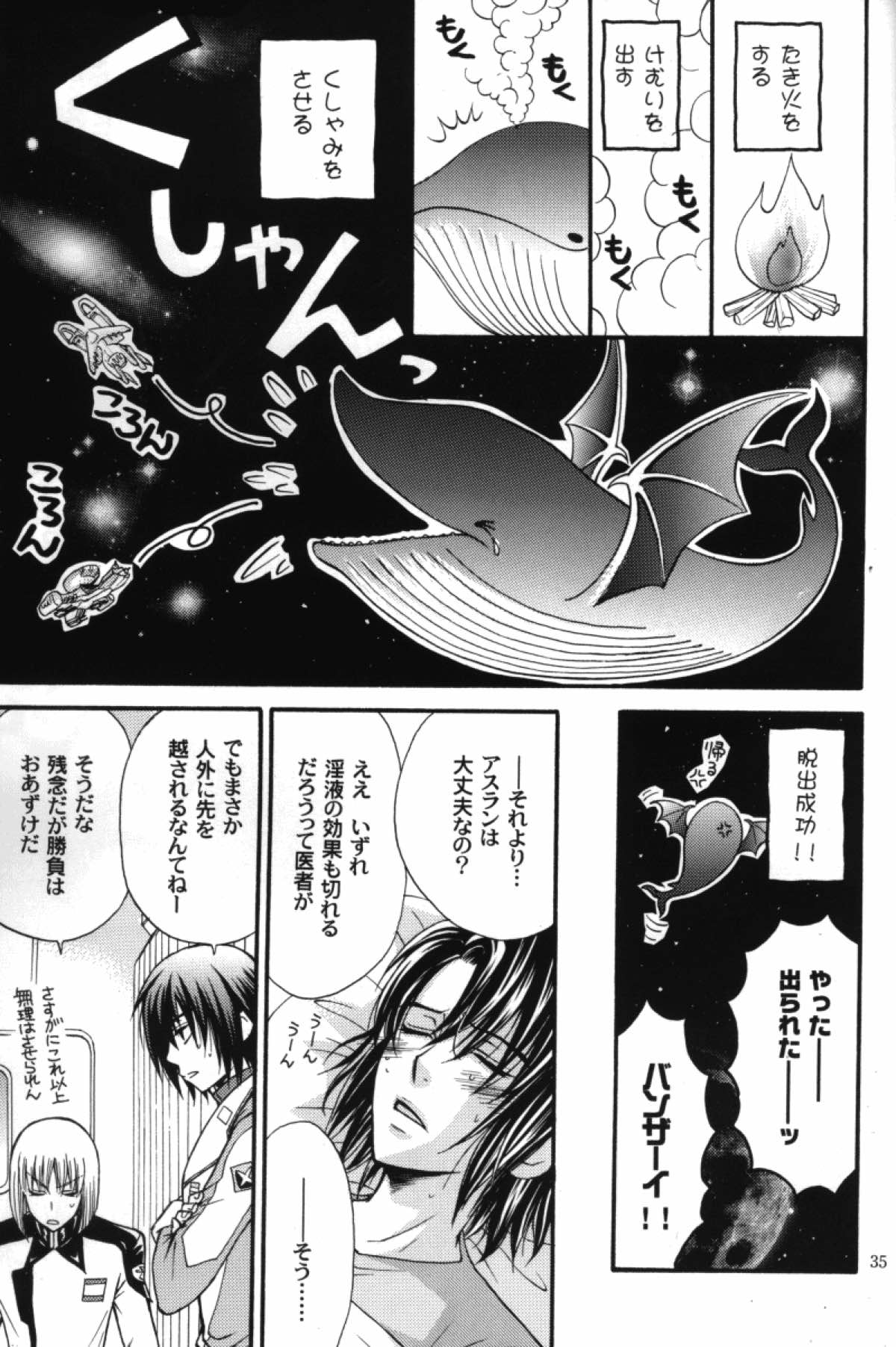 縛アスラン。〜宇宙からの侵略者！？ アスラン触手地獄！！〜【機動戦士ガンダムSEED DESTINY/触手×アスラン】 page 34