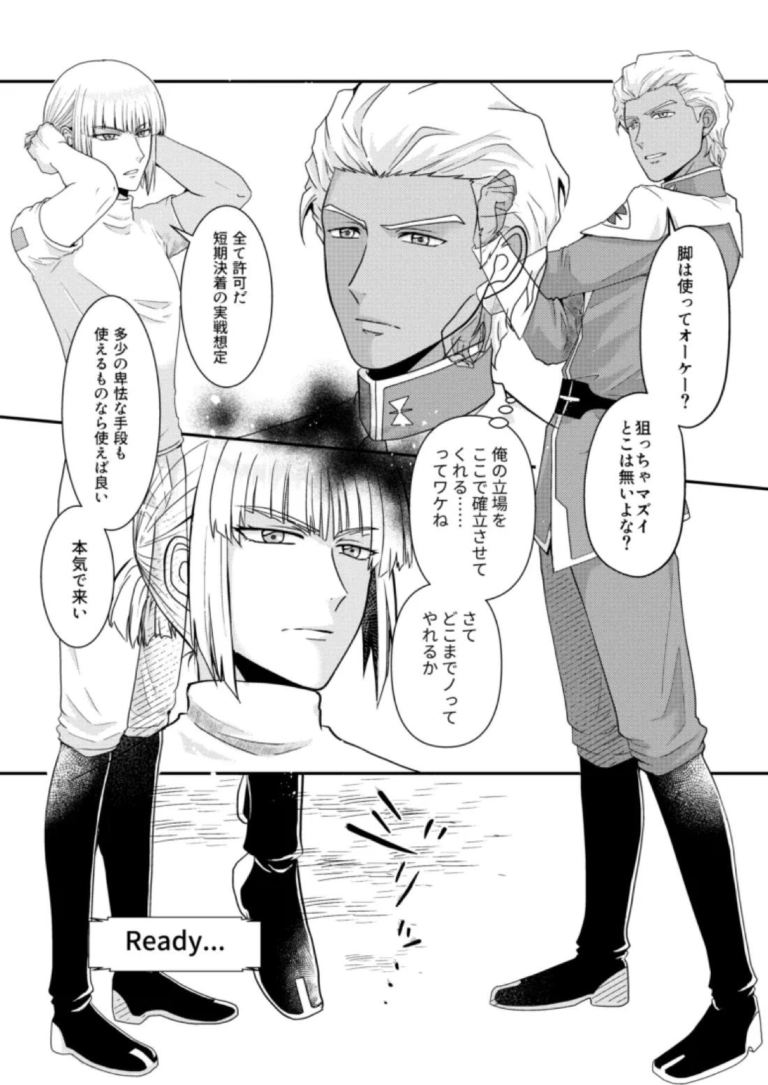 比翼の鳥、連理の絆【機動戦士ガンダムSEED DESTINY/ディアイザ】 page 11