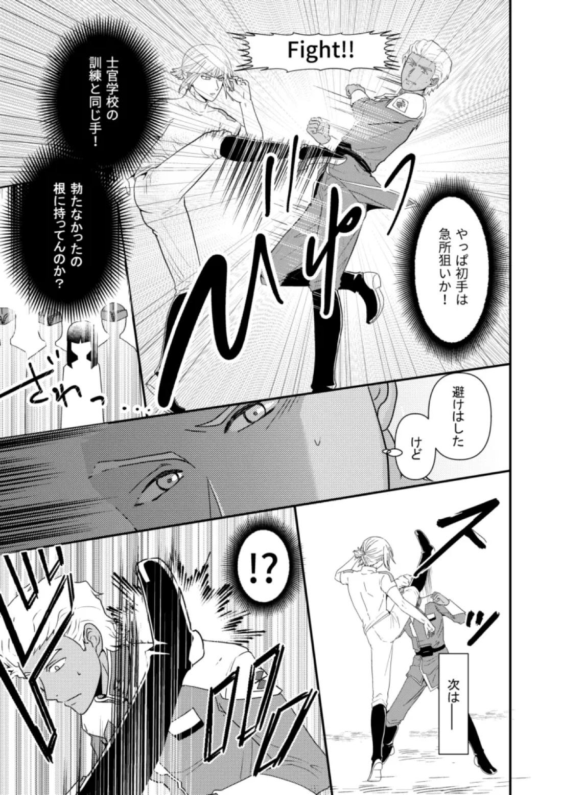 比翼の鳥、連理の絆【機動戦士ガンダムSEED DESTINY/ディアイザ】 page 12
