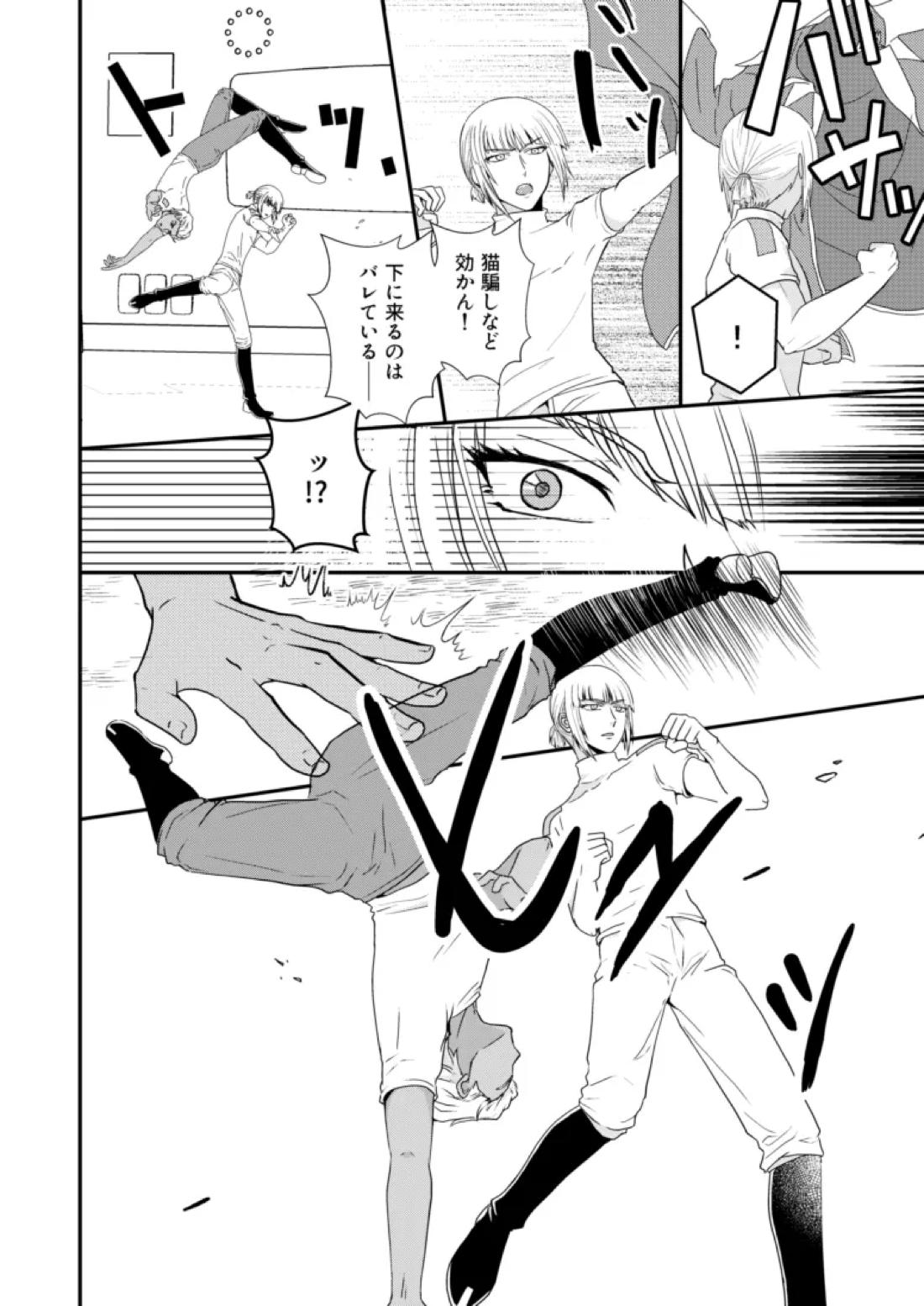 比翼の鳥、連理の絆【機動戦士ガンダムSEED DESTINY/ディアイザ】 page 15