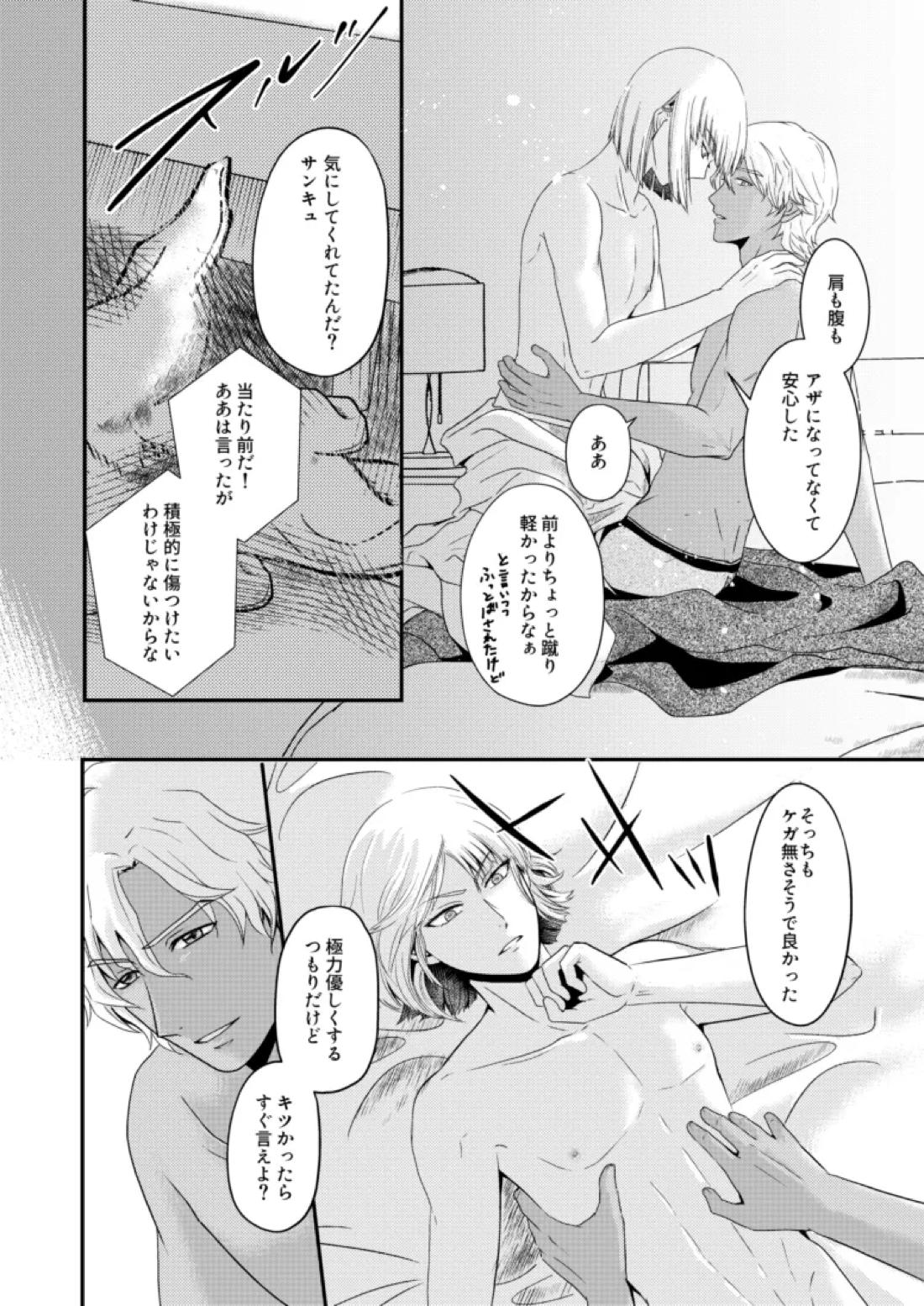 比翼の鳥、連理の絆【機動戦士ガンダムSEED DESTINY/ディアイザ】 page 21