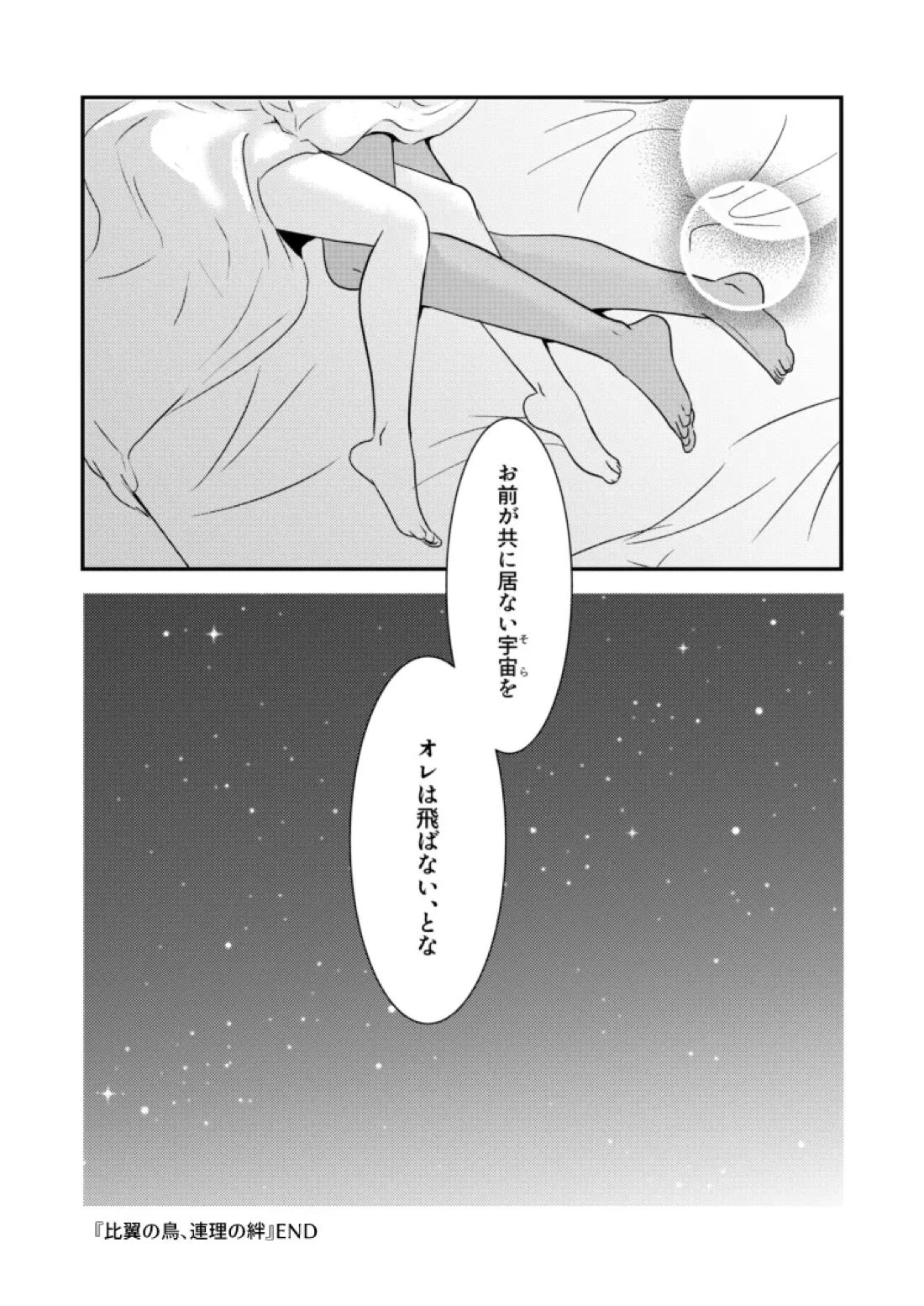 比翼の鳥、連理の絆【機動戦士ガンダムSEED DESTINY/ディアイザ】 page 36