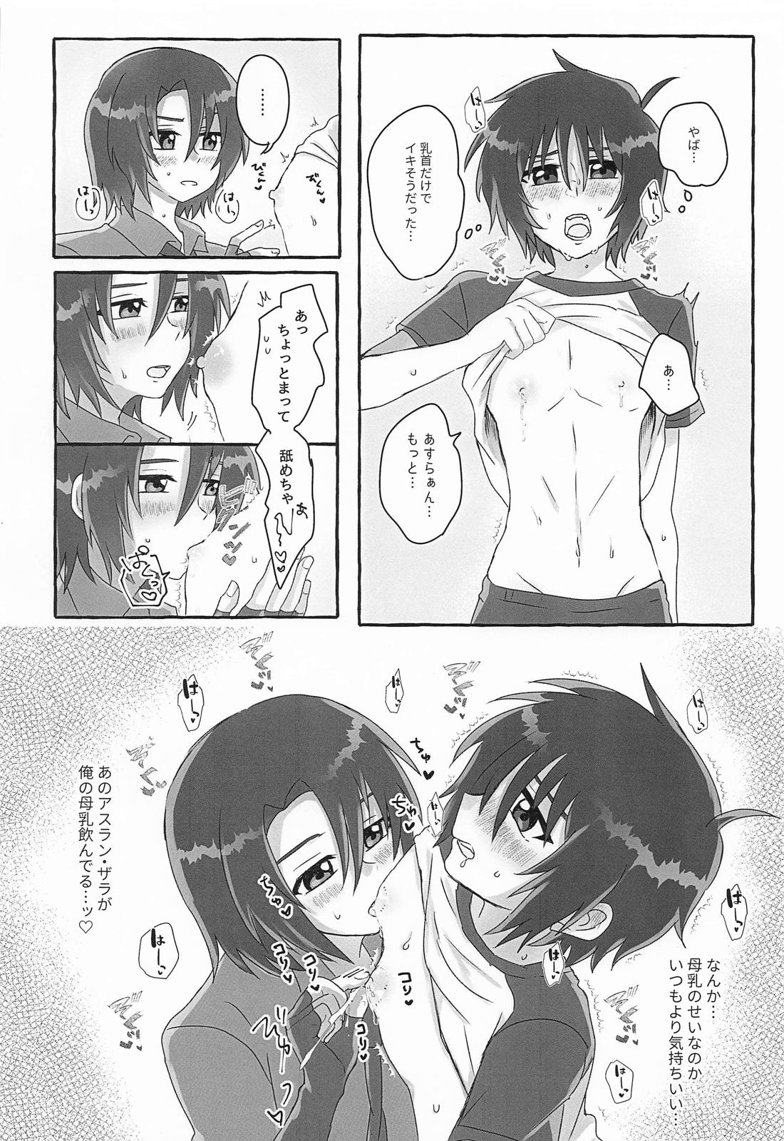 アンタのせいですよ！【機動戦士ガンダムSEED DESTINY】 page 11