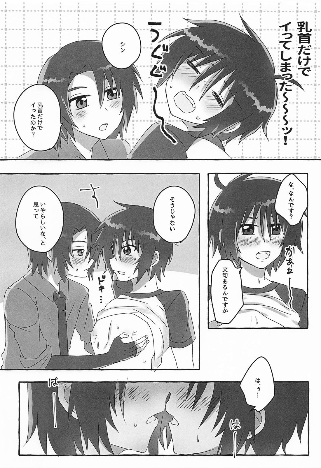 アンタのせいですよ！【機動戦士ガンダムSEED DESTINY】 page 13