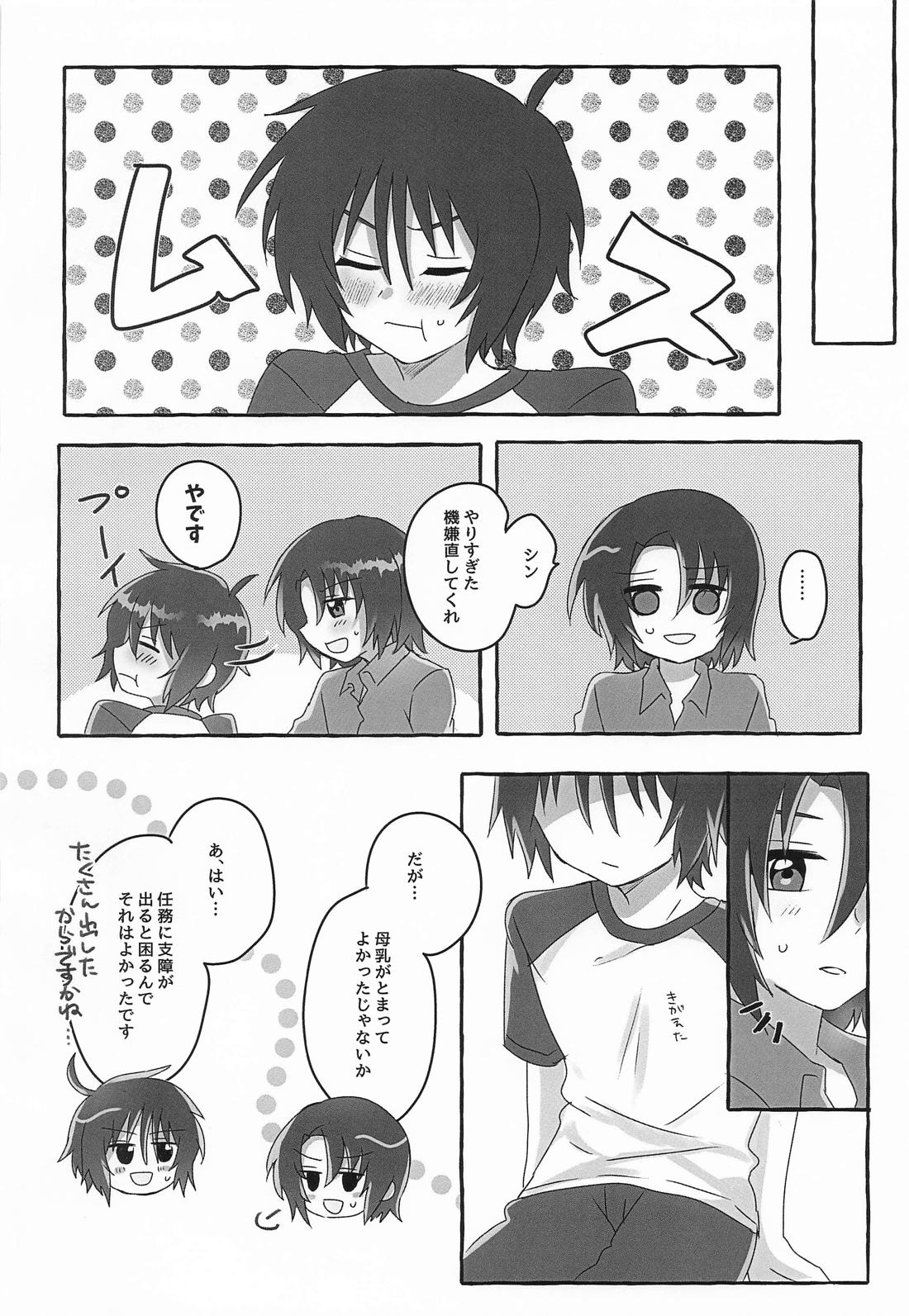 アンタのせいですよ！【機動戦士ガンダムSEED DESTINY】 page 17