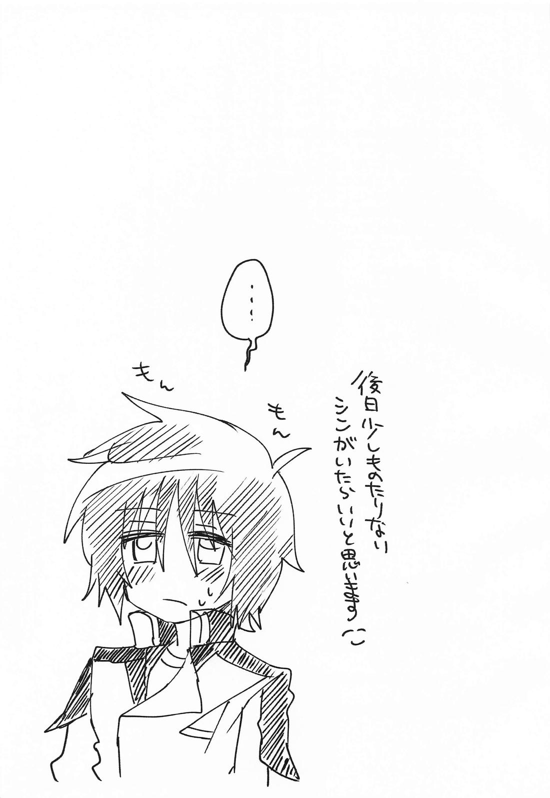 アンタのせいですよ！【機動戦士ガンダムSEED DESTINY】 page 20