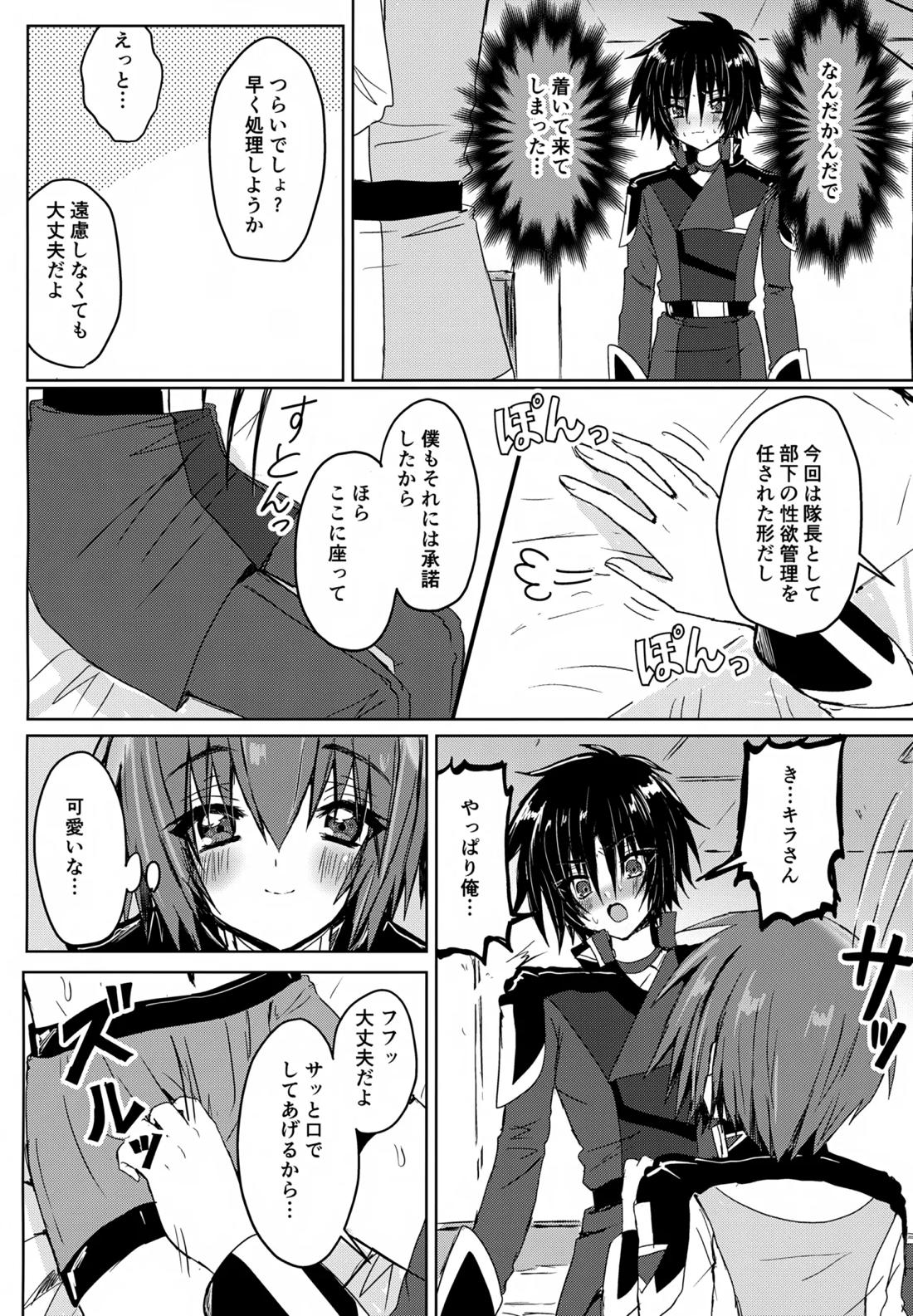 コンパスクリーン月間【機動戦士ガンダムSEED DESTINY/シンキラ】 page 11