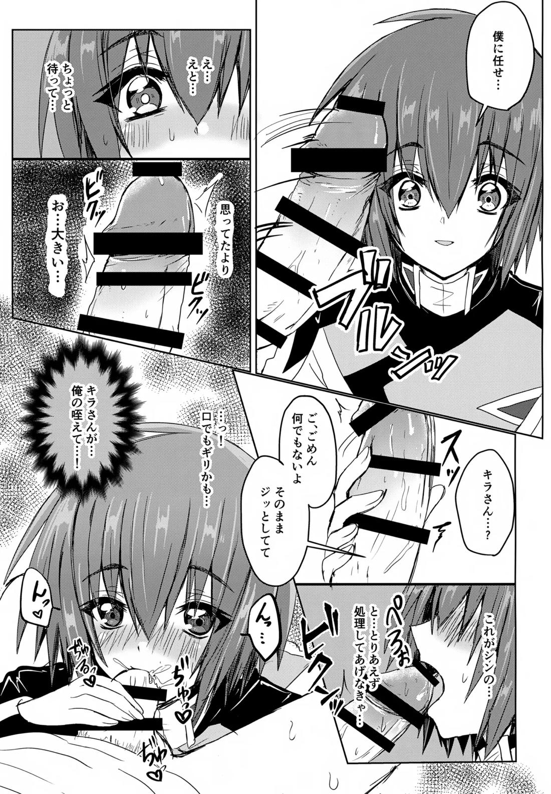 コンパスクリーン月間【機動戦士ガンダムSEED DESTINY/シンキラ】 page 12