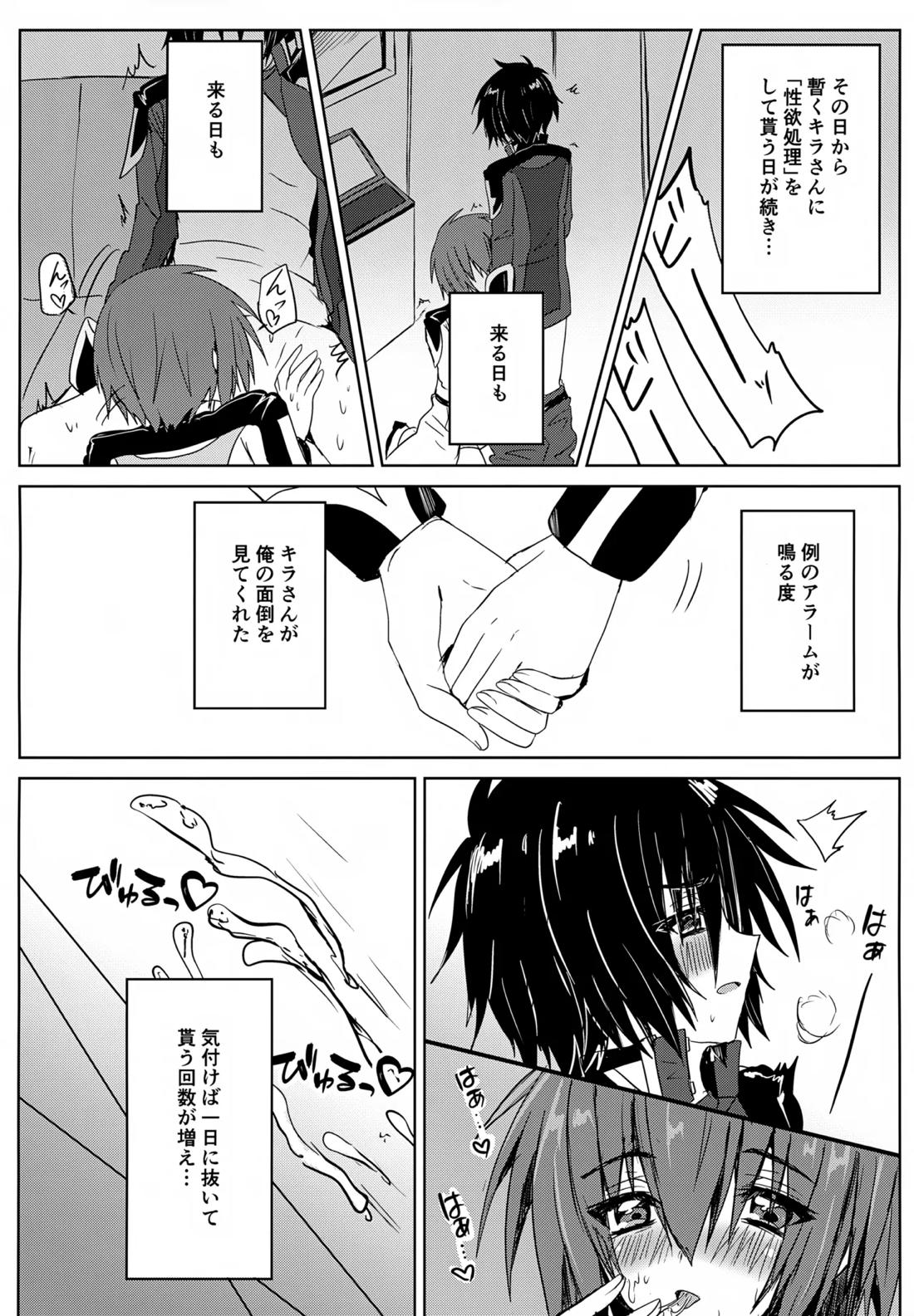 コンパスクリーン月間【機動戦士ガンダムSEED DESTINY/シンキラ】 page 15