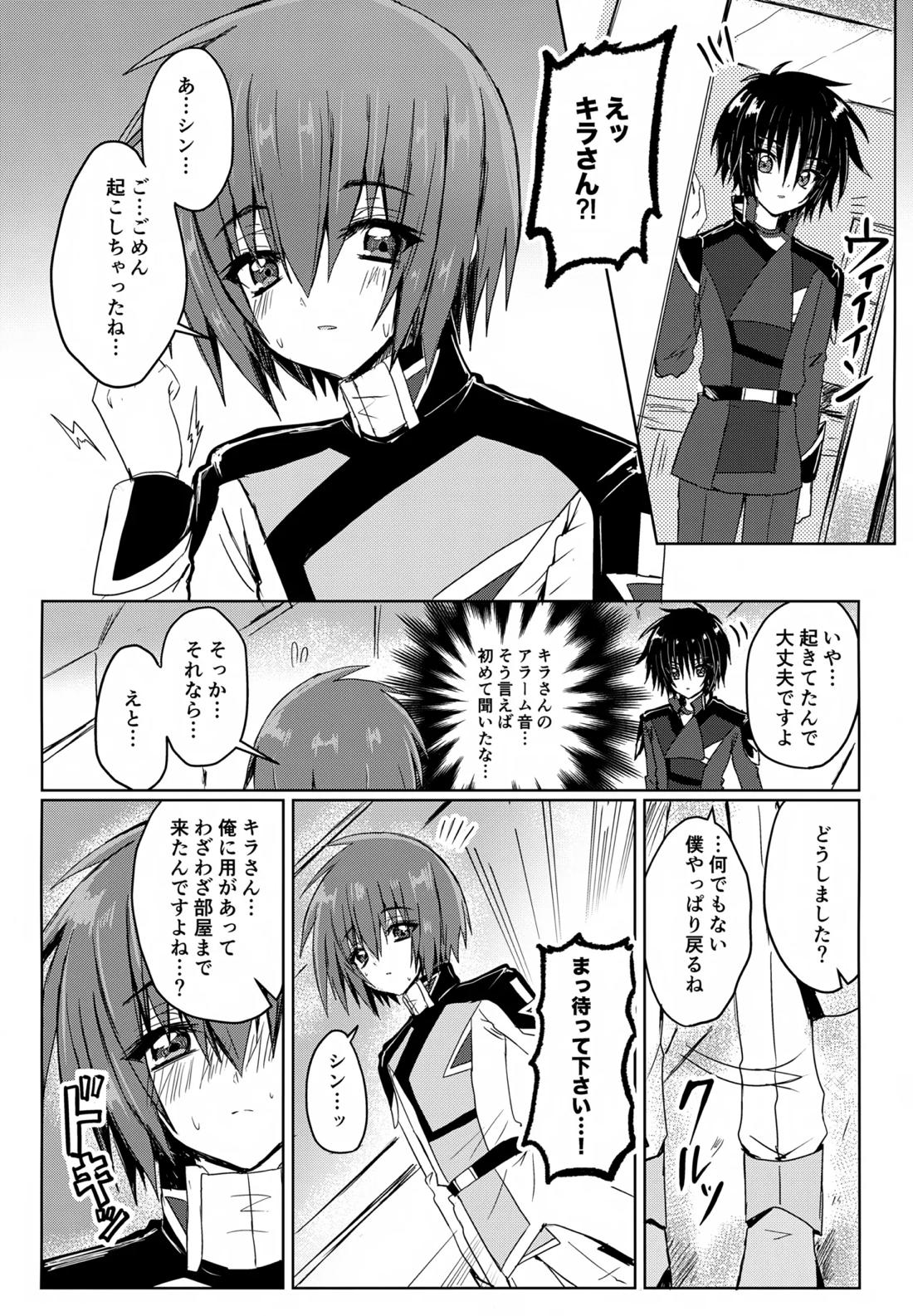 コンパスクリーン月間【機動戦士ガンダムSEED DESTINY/シンキラ】 page 17
