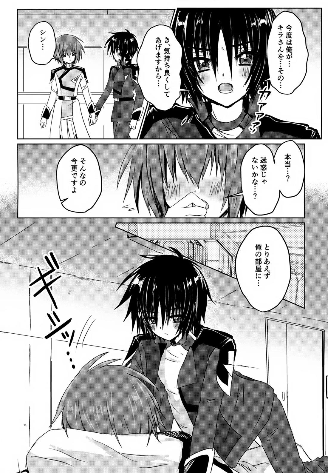 コンパスクリーン月間【機動戦士ガンダムSEED DESTINY/シンキラ】 page 18