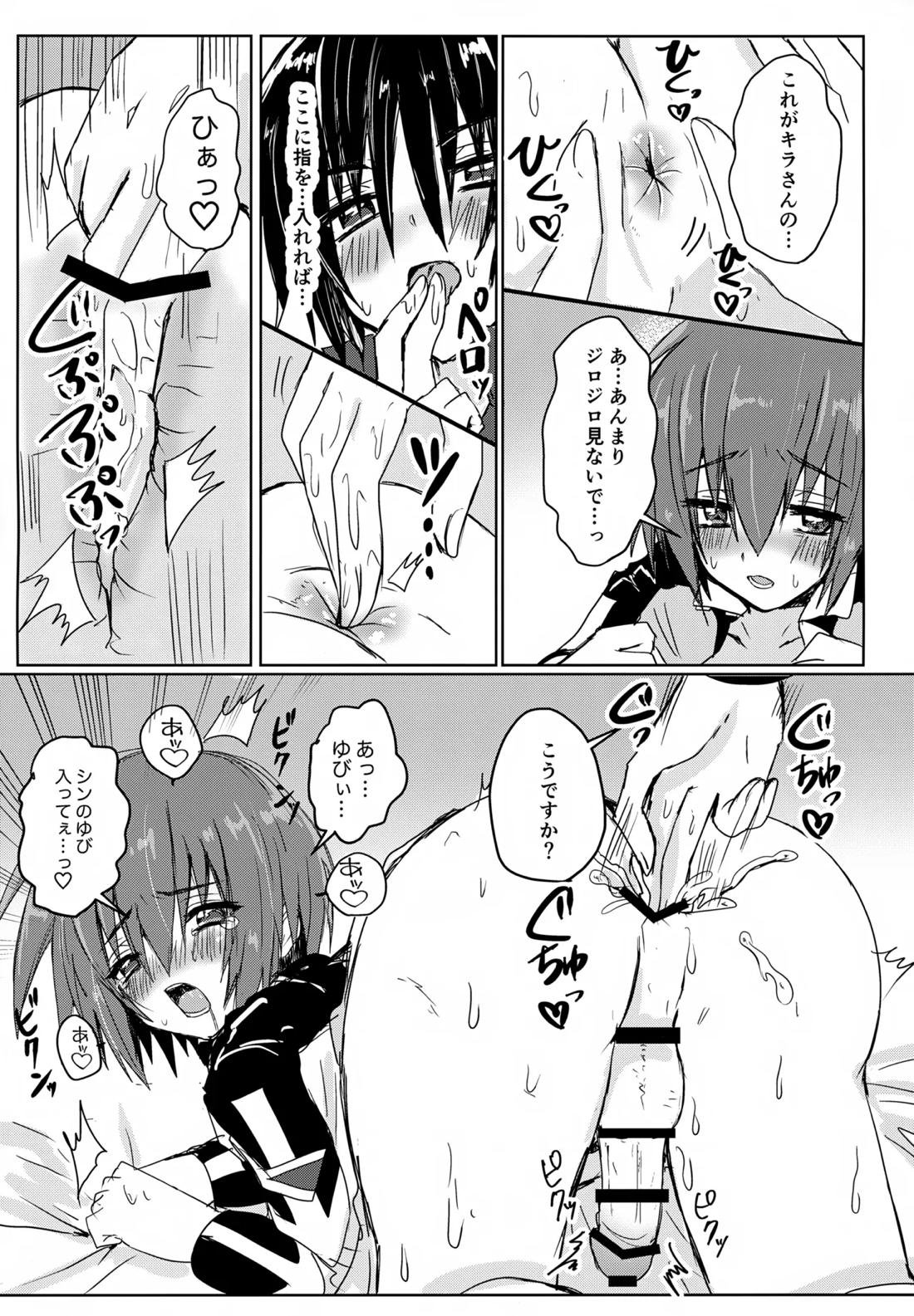 コンパスクリーン月間【機動戦士ガンダムSEED DESTINY/シンキラ】 page 20