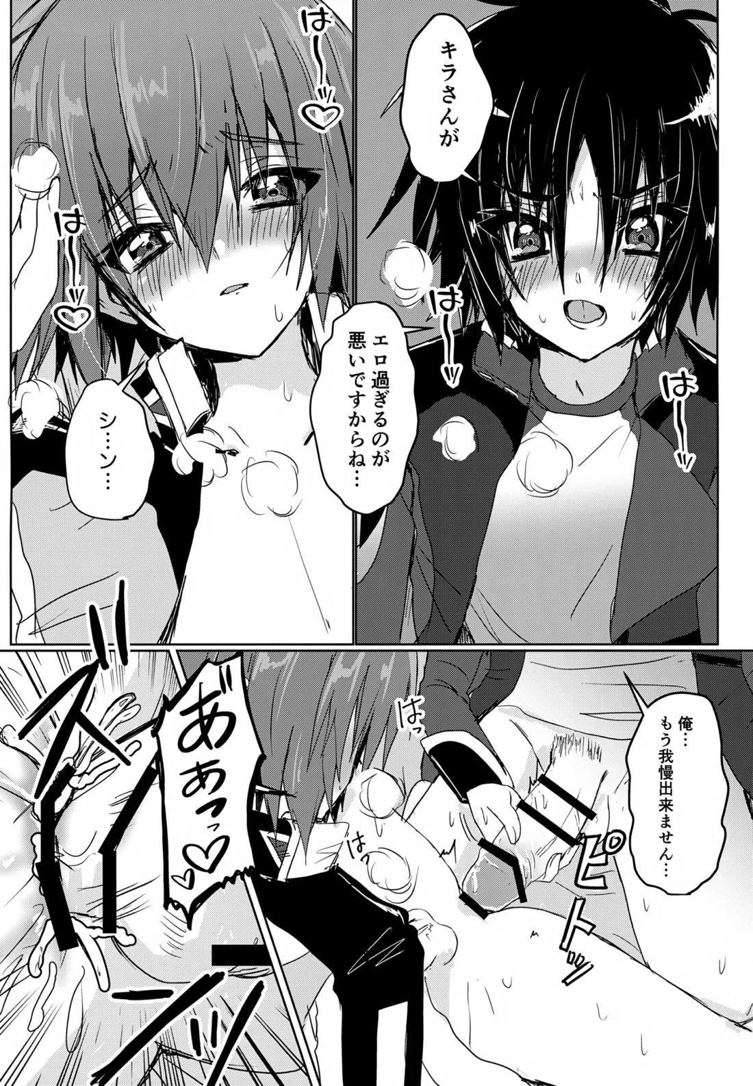 コンパスクリーン月間【機動戦士ガンダムSEED DESTINY/シンキラ】 page 26