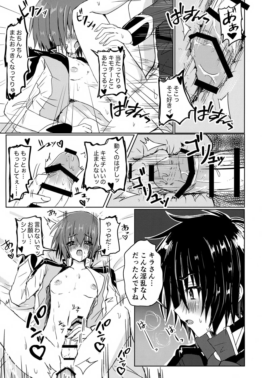 コンパスクリーン月間【機動戦士ガンダムSEED DESTINY/シンキラ】 page 28