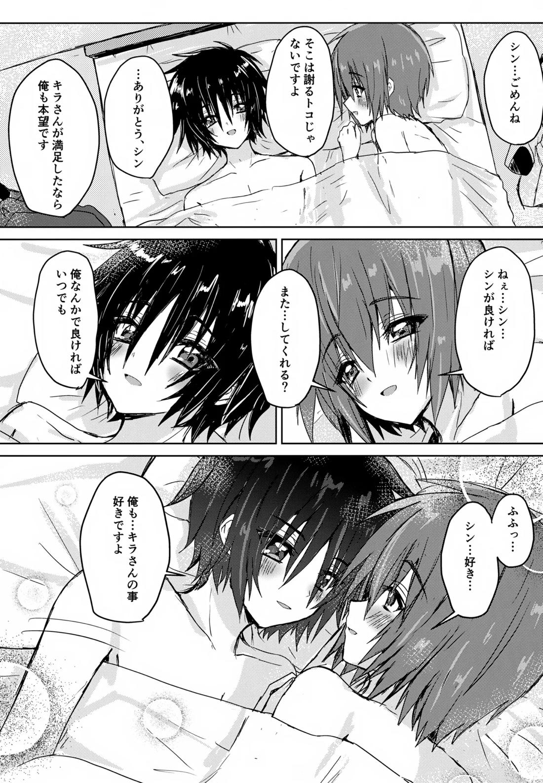 コンパスクリーン月間【機動戦士ガンダムSEED DESTINY/シンキラ】 page 31