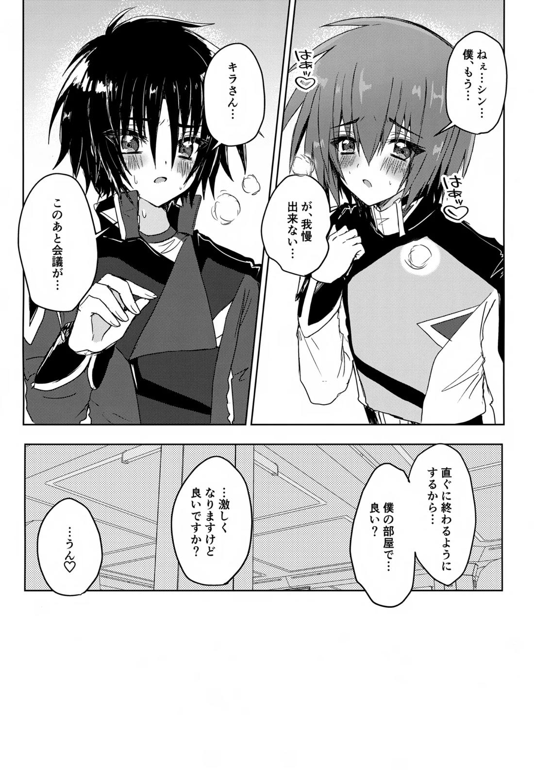 コンパスクリーン月間【機動戦士ガンダムSEED DESTINY/シンキラ】 page 34