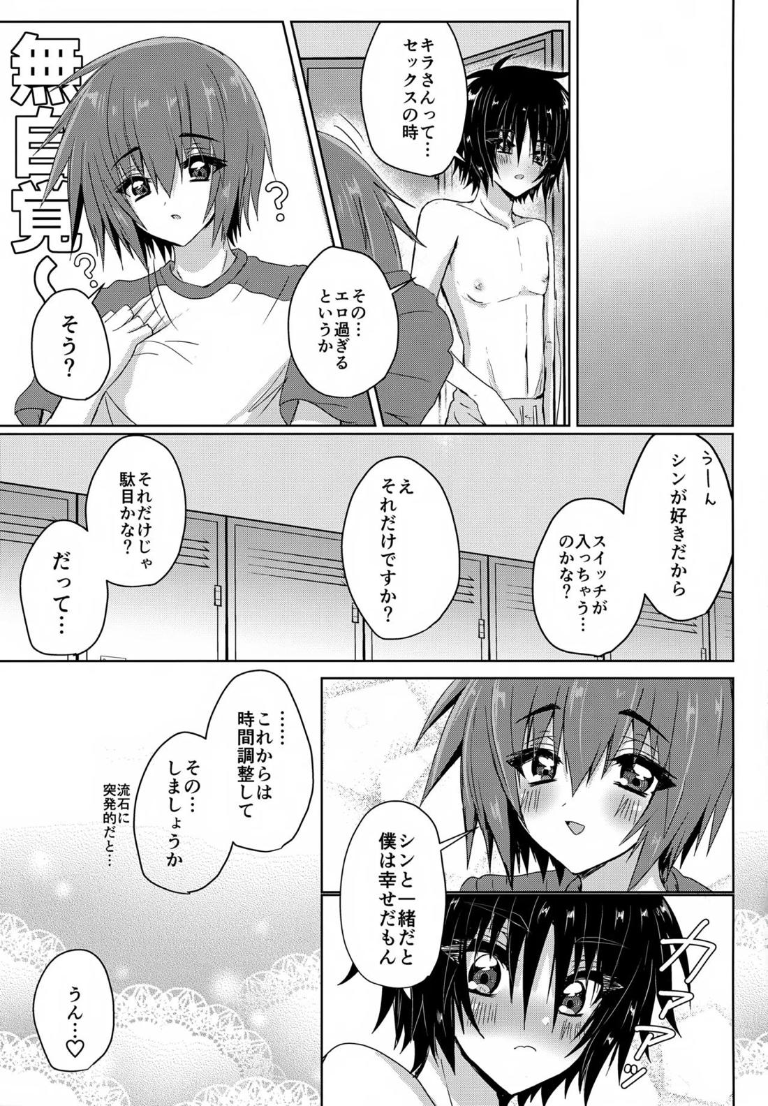 パートナーは欲求不満！！【機動戦士ガンダムSEED DESTINY/シンキラ】 page 20