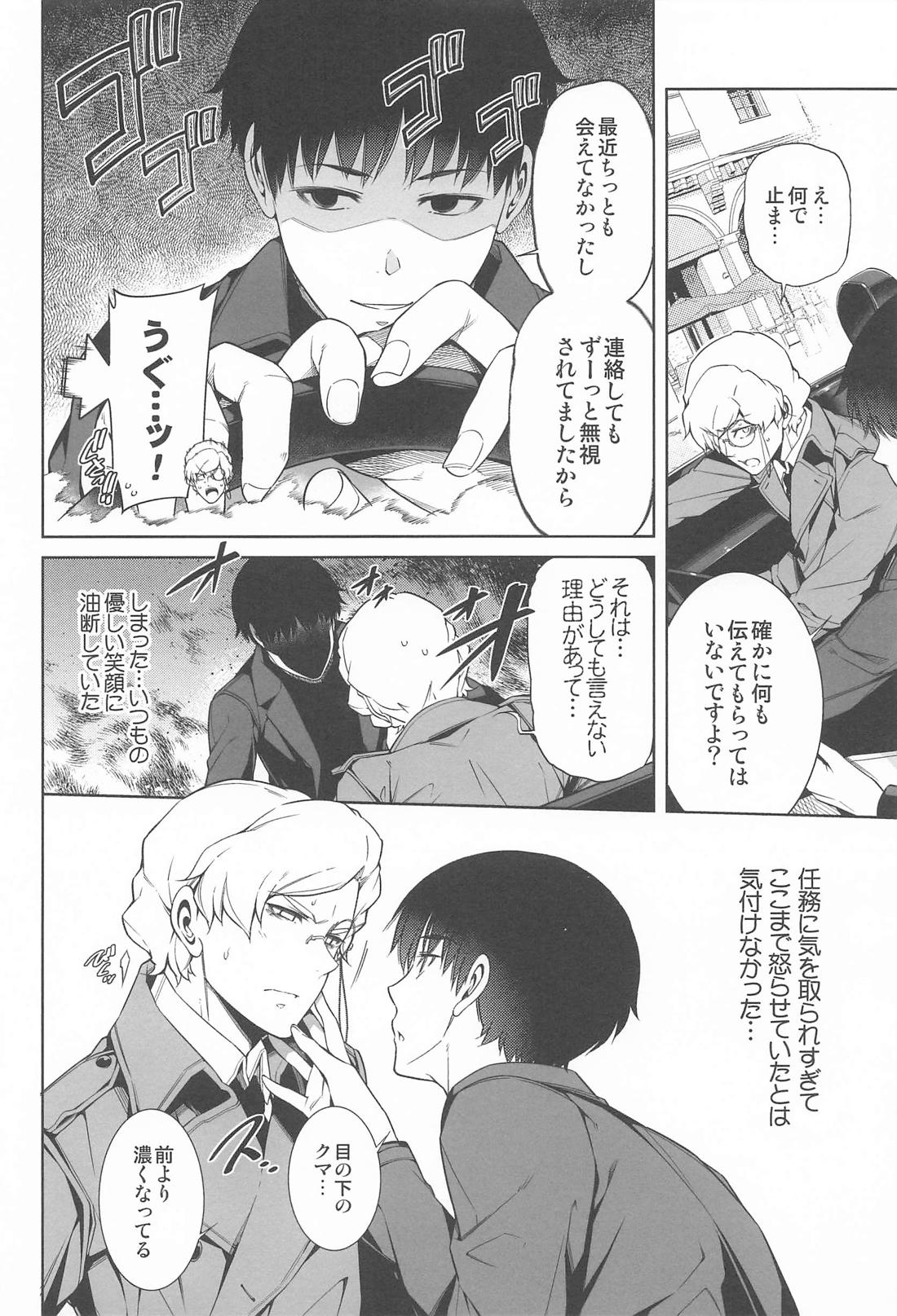 ヤッタネ！ウレシードFREEDOM ドライブ行こ！【機動戦士ガンダムSEED DESTINY/ハイノイ】 page 11