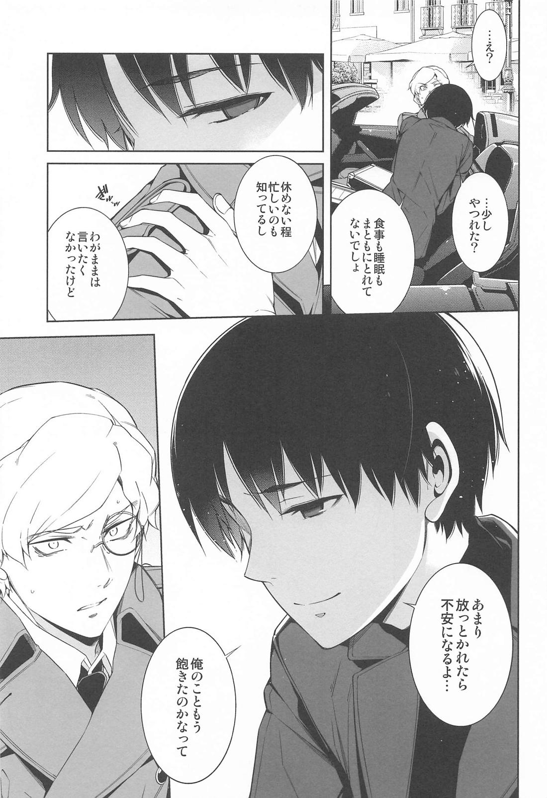 ヤッタネ！ウレシードFREEDOM ドライブ行こ！【機動戦士ガンダムSEED DESTINY/ハイノイ】 page 12