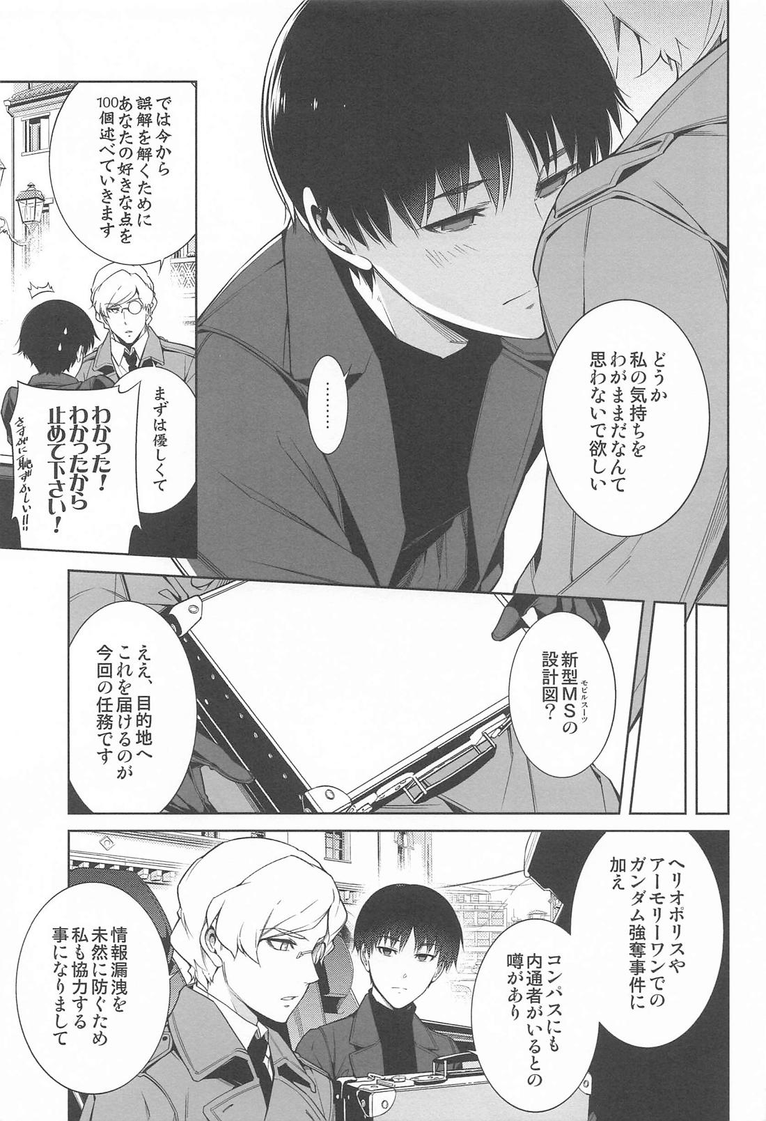 ヤッタネ！ウレシードFREEDOM ドライブ行こ！【機動戦士ガンダムSEED DESTINY/ハイノイ】 page 14
