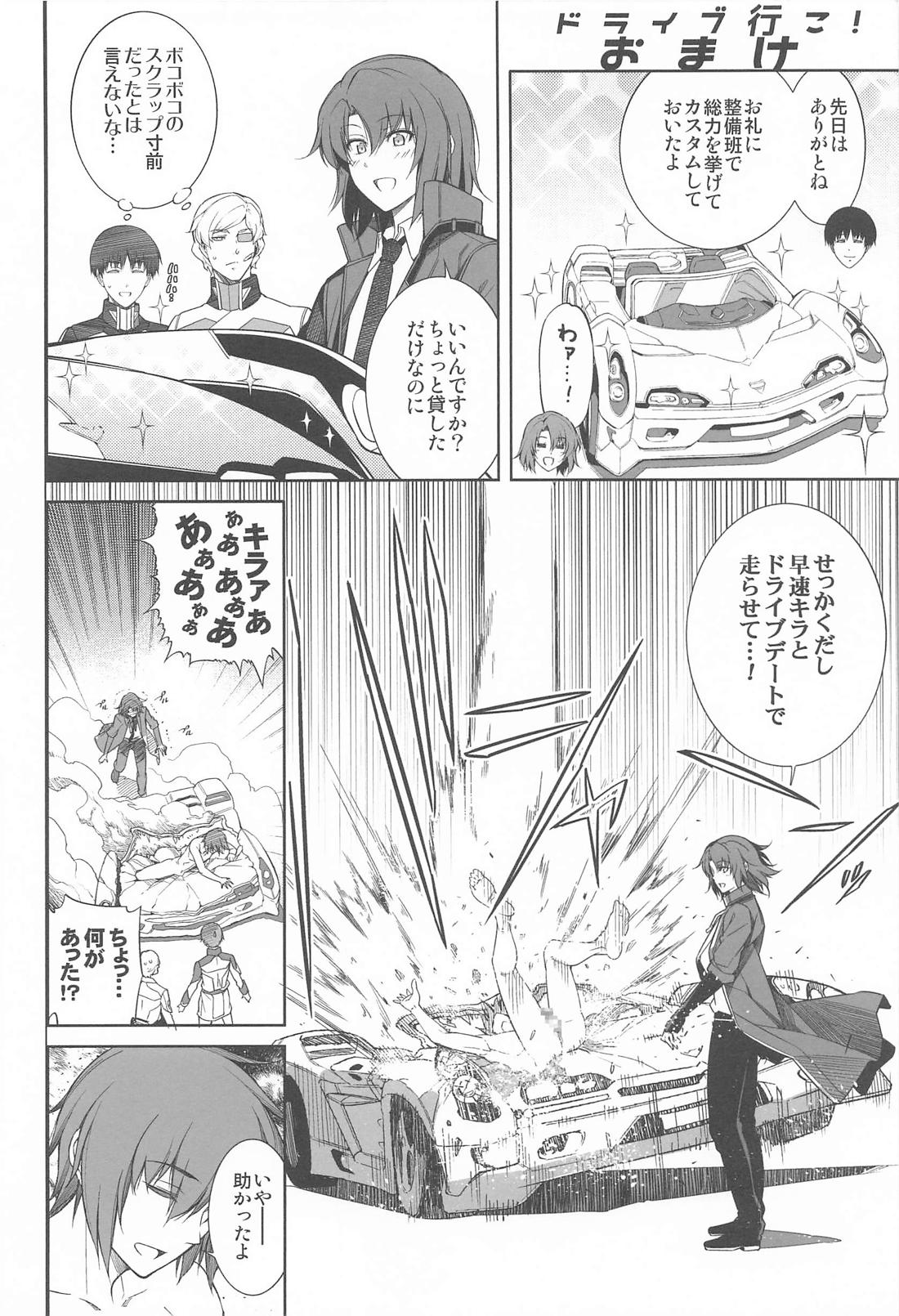 ヤッタネ！ウレシードFREEDOM ドライブ行こ！【機動戦士ガンダムSEED DESTINY/ハイノイ】 page 31