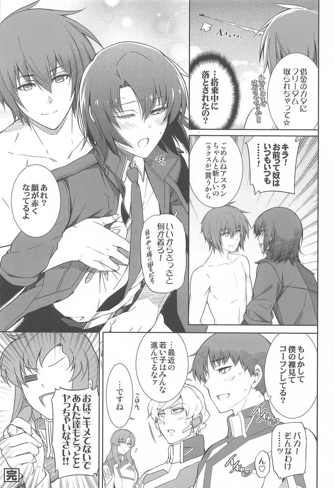 ヤッタネ！ウレシードFREEDOM ドライブ行こ！【機動戦士ガンダムSEED DESTINY/ハイノイ】 page 32