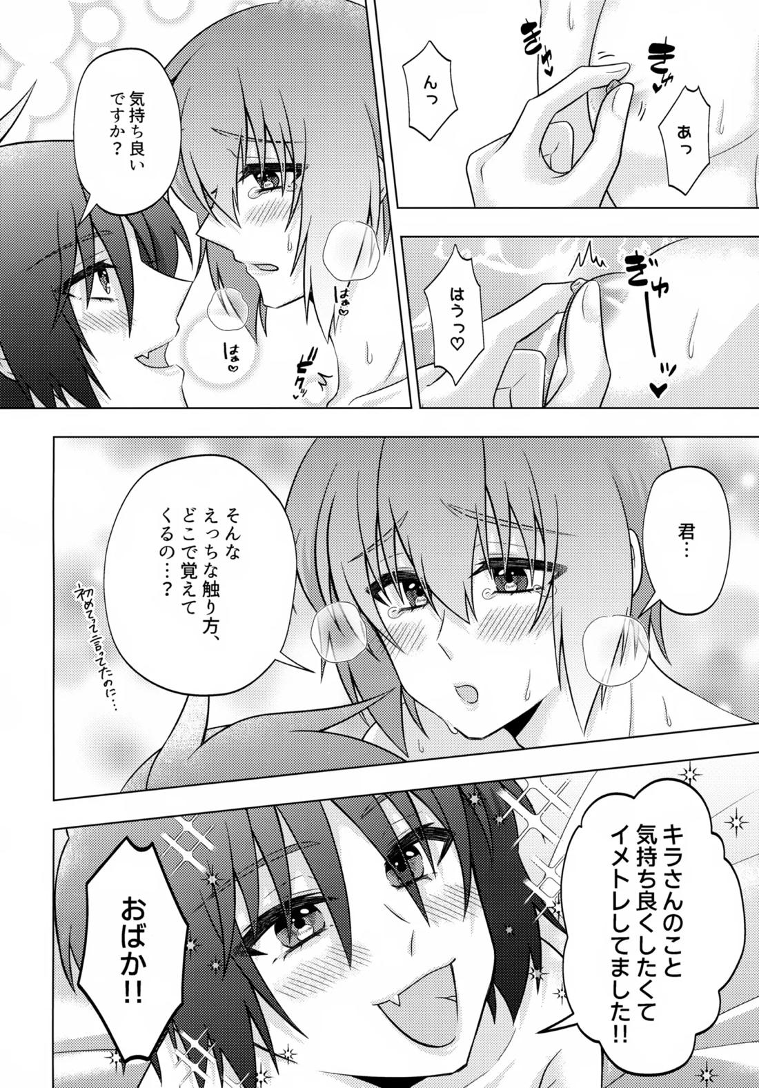 初恋ハニームーン【機動戦士ガンダムSEED DESTINY/シンキラ】 page 15