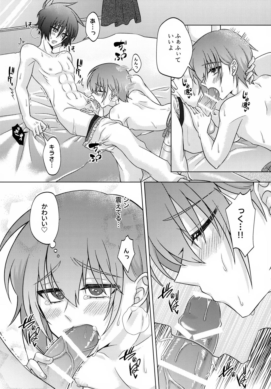 初恋ハニームーン【機動戦士ガンダムSEED DESTINY/シンキラ】 page 19