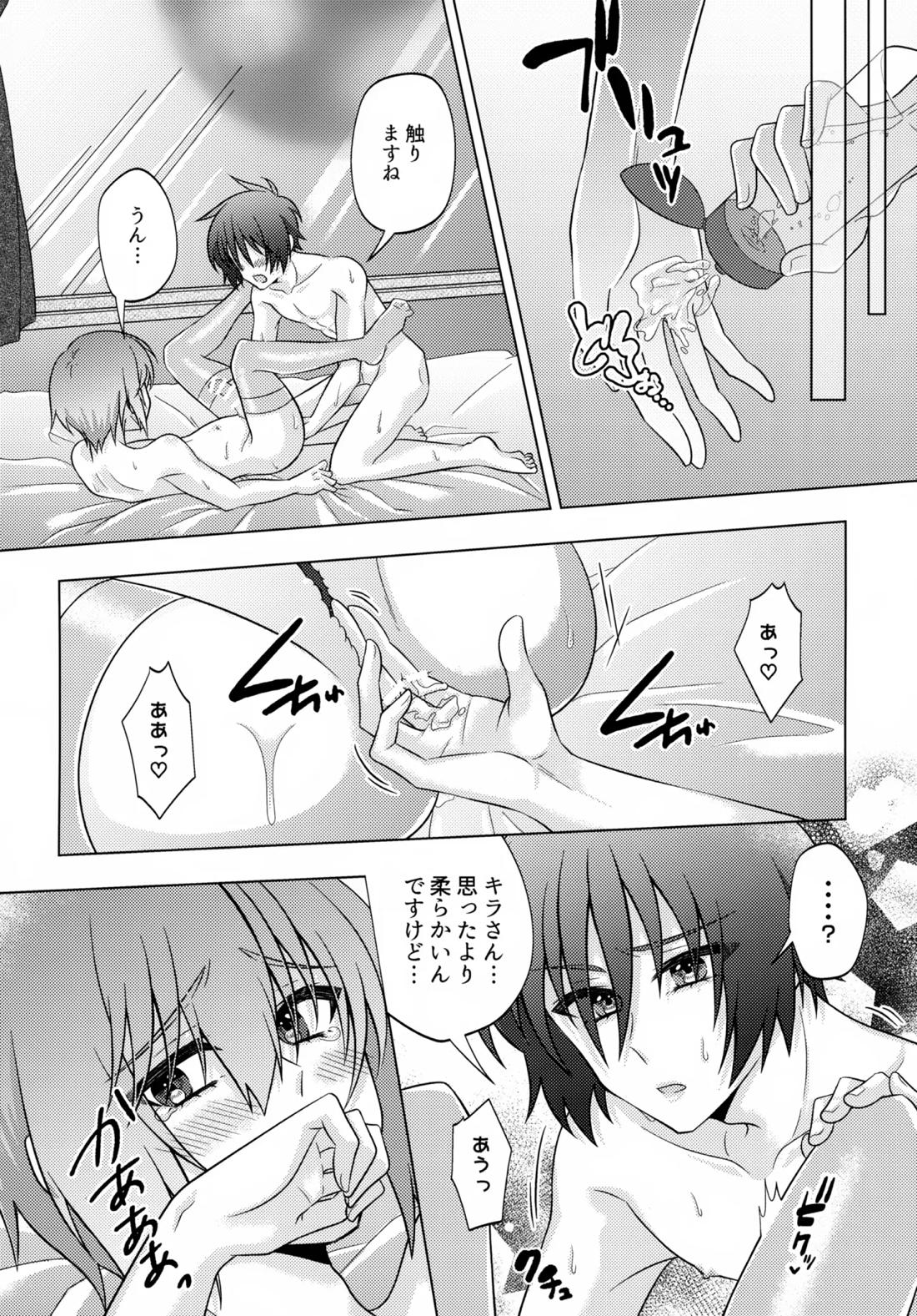 初恋ハニームーン【機動戦士ガンダムSEED DESTINY/シンキラ】 page 23