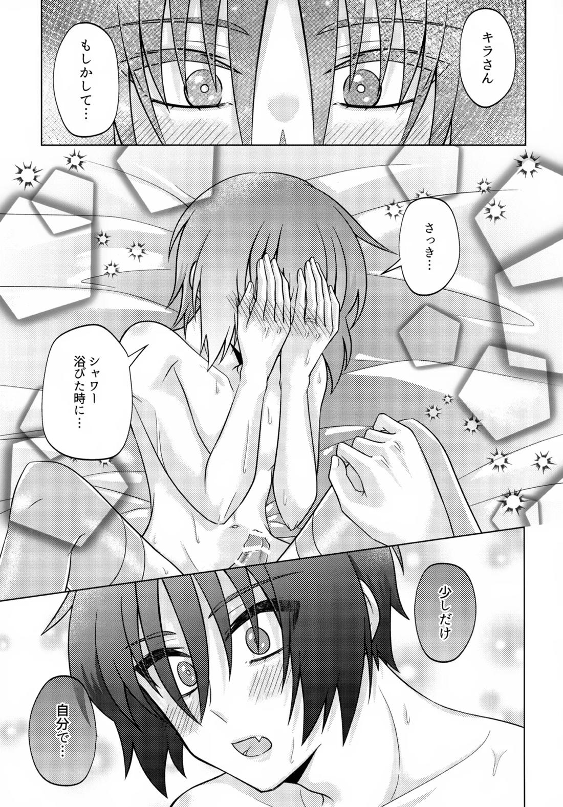 初恋ハニームーン【機動戦士ガンダムSEED DESTINY/シンキラ】 page 24