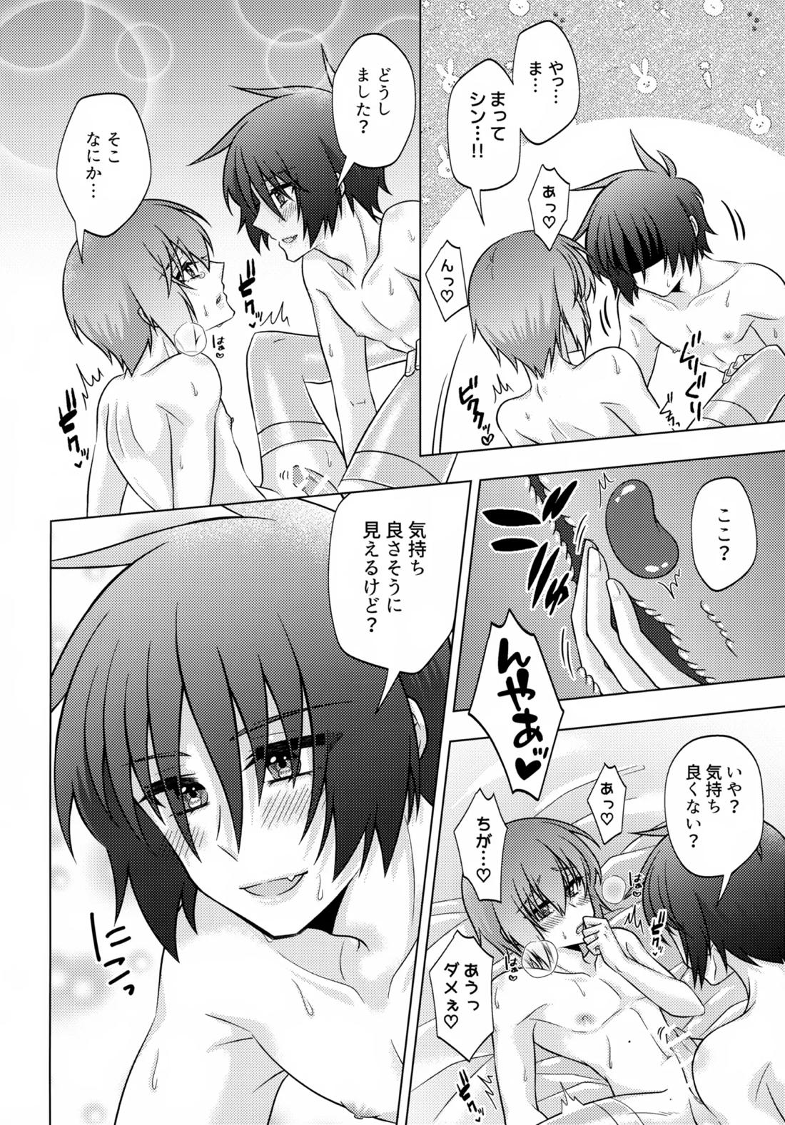 初恋ハニームーン【機動戦士ガンダムSEED DESTINY/シンキラ】 page 27