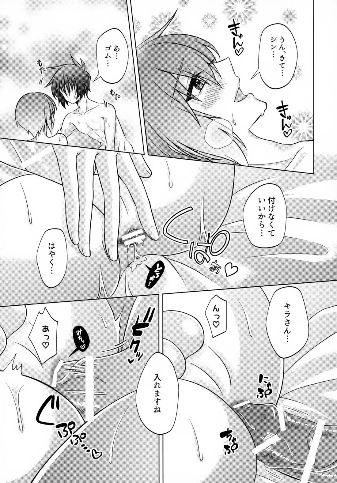 初恋ハニームーン【機動戦士ガンダムSEED DESTINY/シンキラ】 page 30