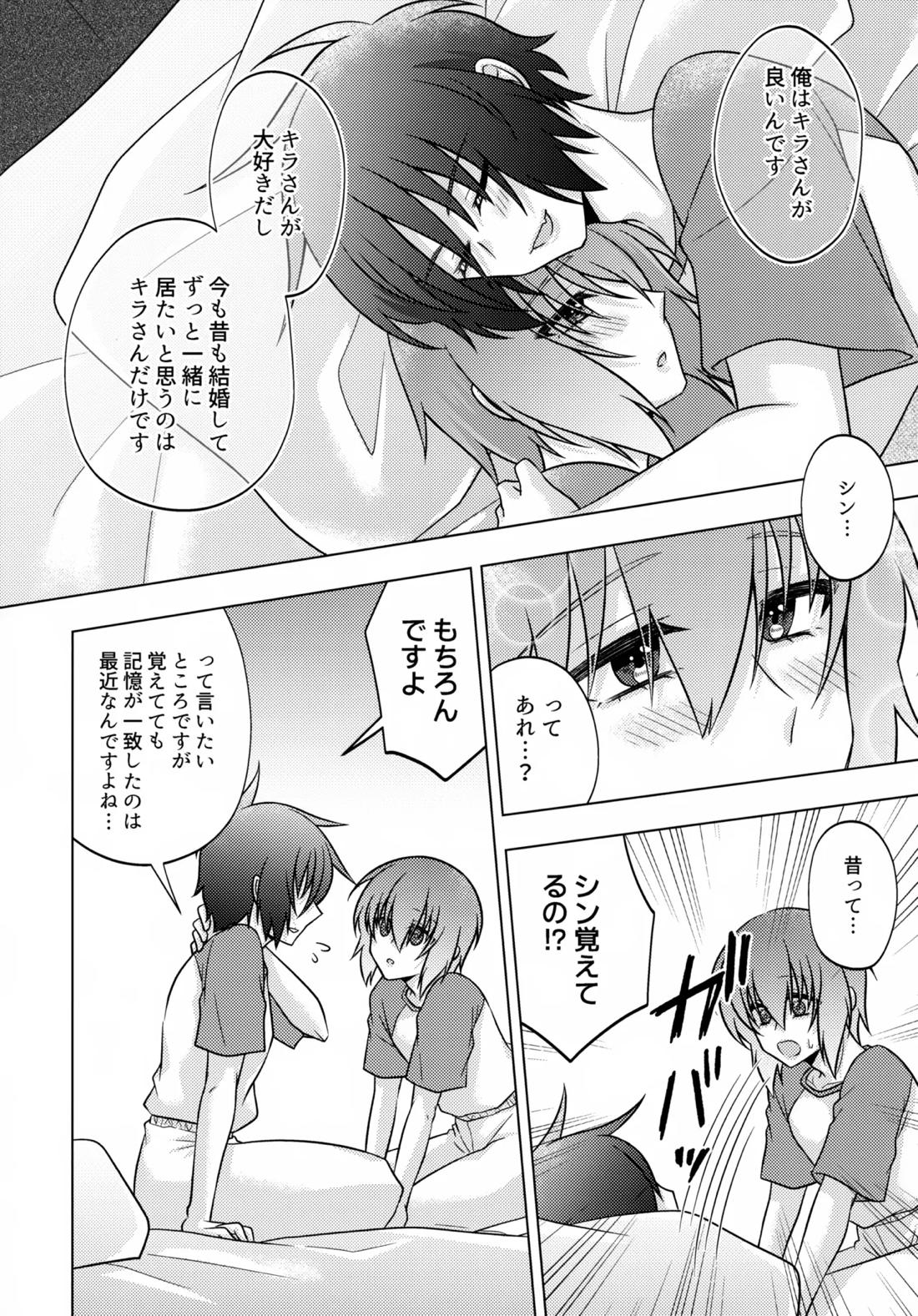 初恋ハニームーン【機動戦士ガンダムSEED DESTINY/シンキラ】 page 42