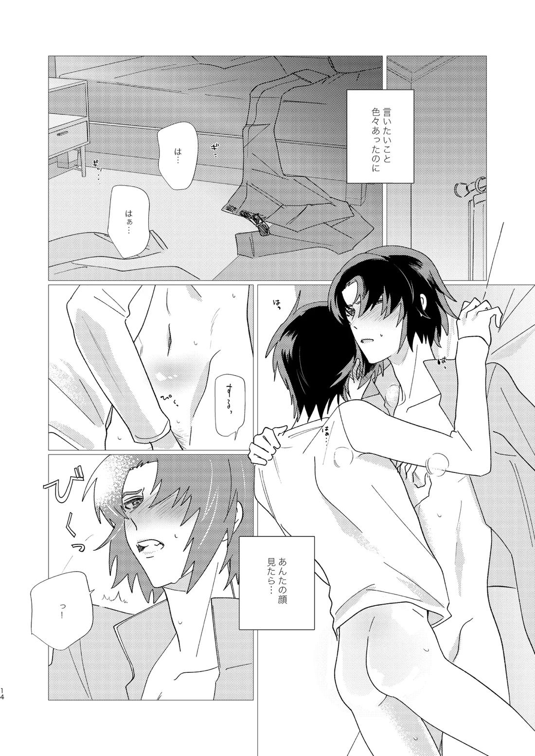 そりゃしたいですよ！【機動戦士ガンダムSEED DESTINY/シンアス】 page 13