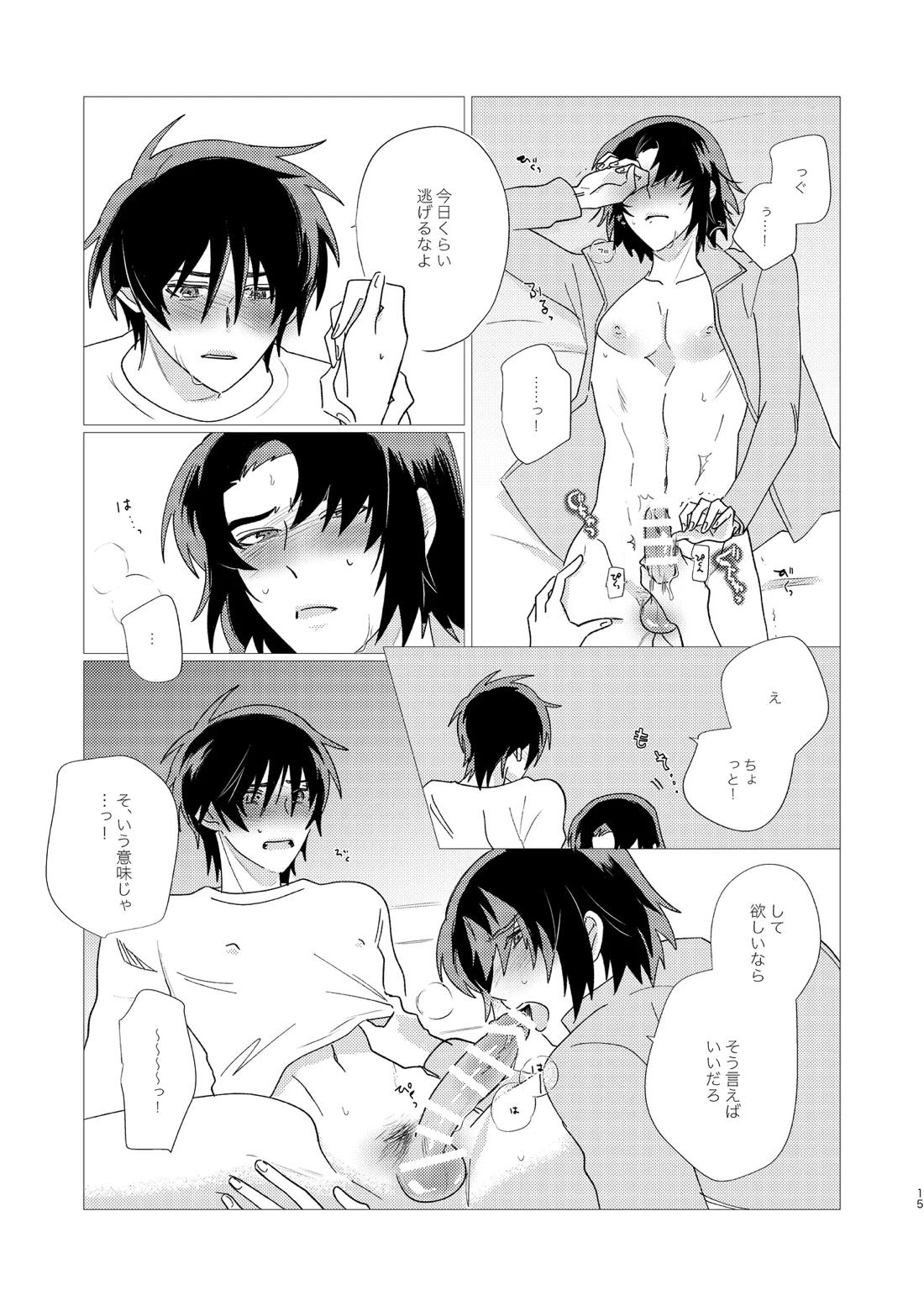 そりゃしたいですよ！【機動戦士ガンダムSEED DESTINY/シンアス】 page 14