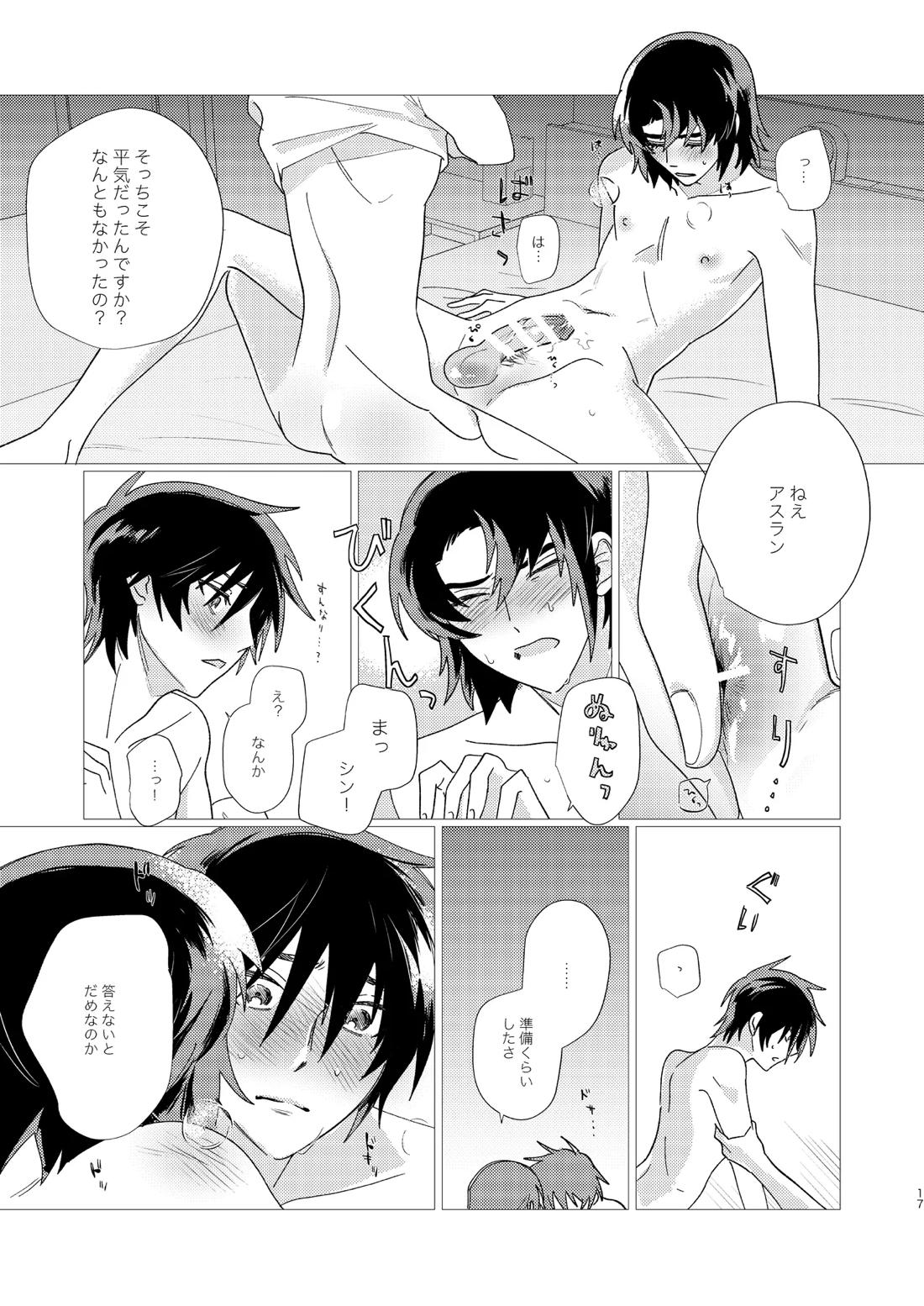 そりゃしたいですよ！【機動戦士ガンダムSEED DESTINY/シンアス】 page 16