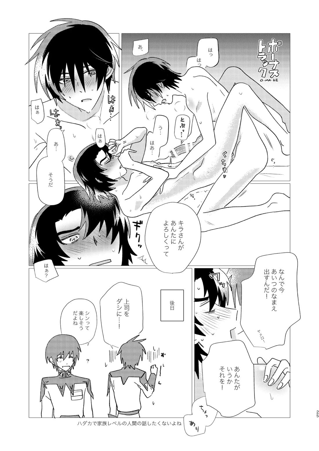 そりゃしたいですよ！【機動戦士ガンダムSEED DESTINY/シンアス】 page 24