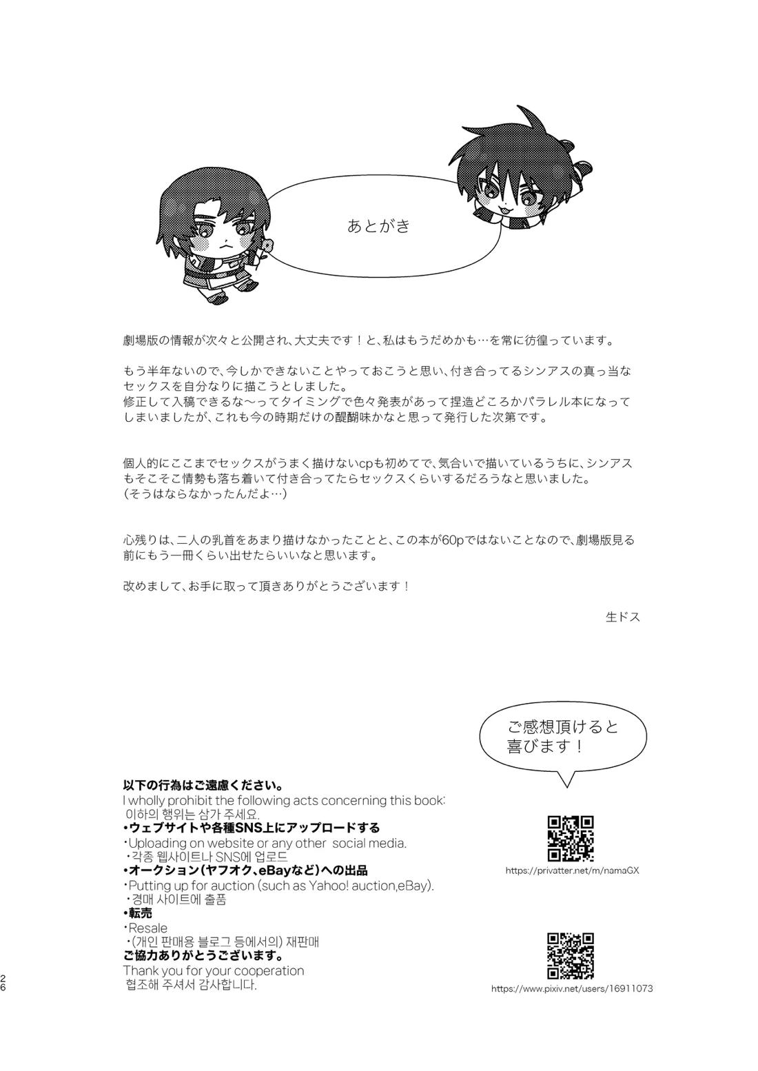 そりゃしたいですよ！【機動戦士ガンダムSEED DESTINY/シンアス】 page 25