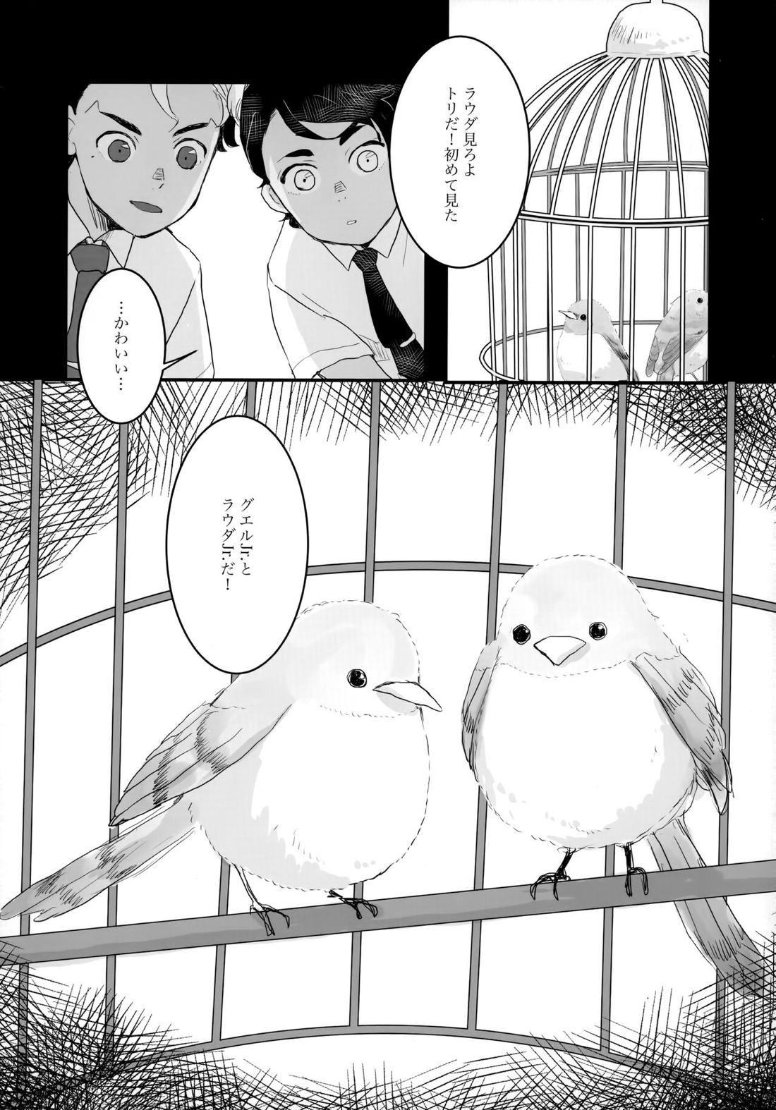 とりかご【機動戦士ガンダム水星の魔女/モブ×ラウダ】 page 11