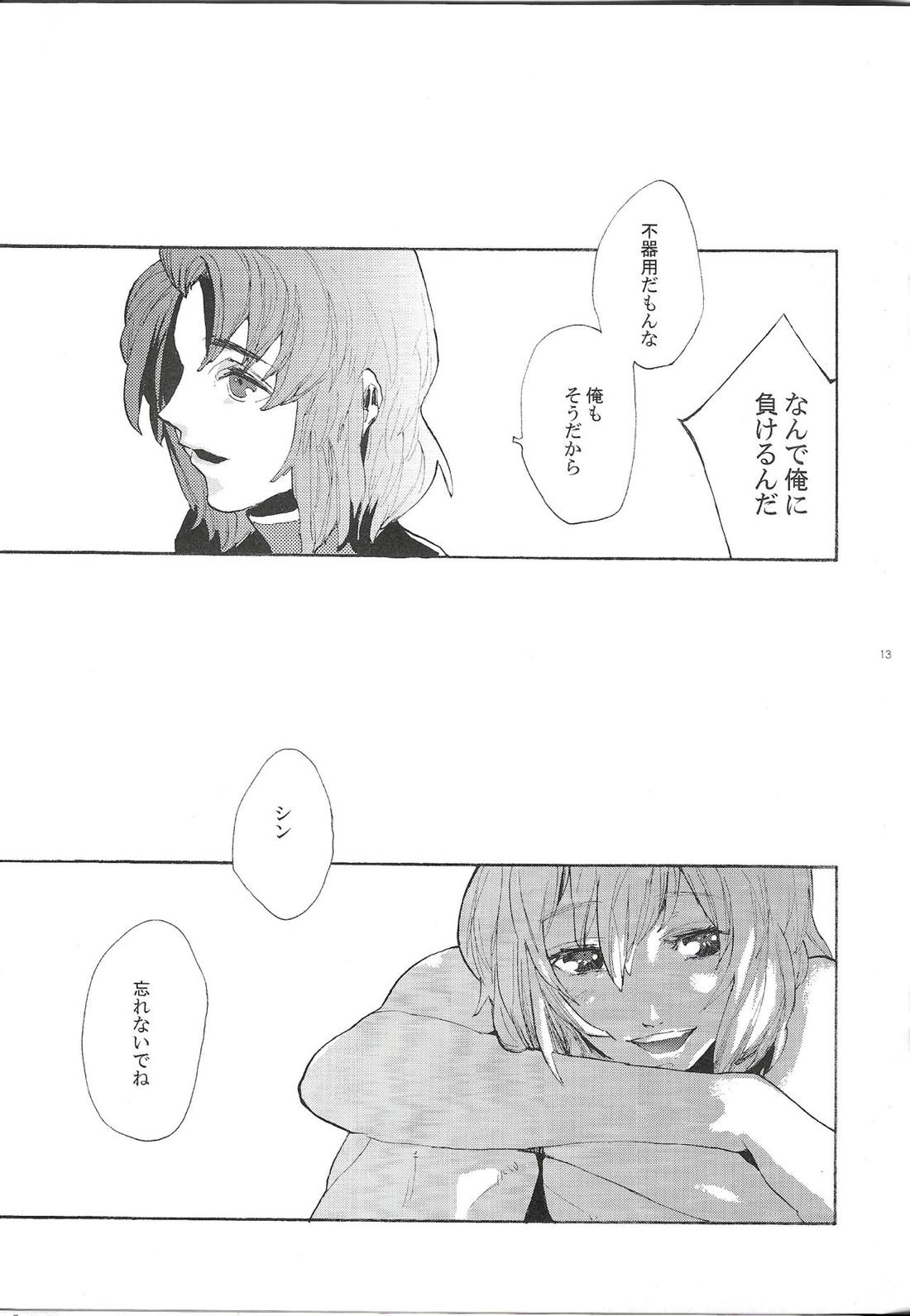 まるで夢を見ているみたい【機動戦士ガンダムSEED DESTINY/キラシン】 page 12
