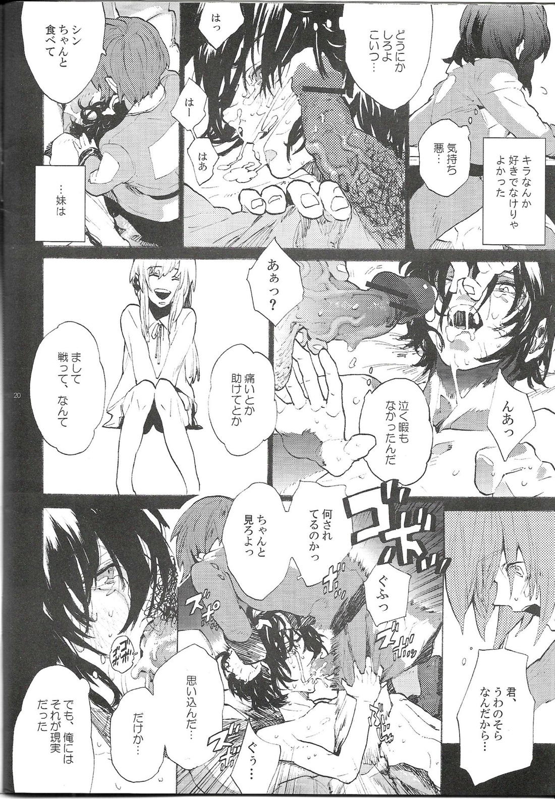 まるで夢を見ているみたい【機動戦士ガンダムSEED DESTINY/キラシン】 page 19