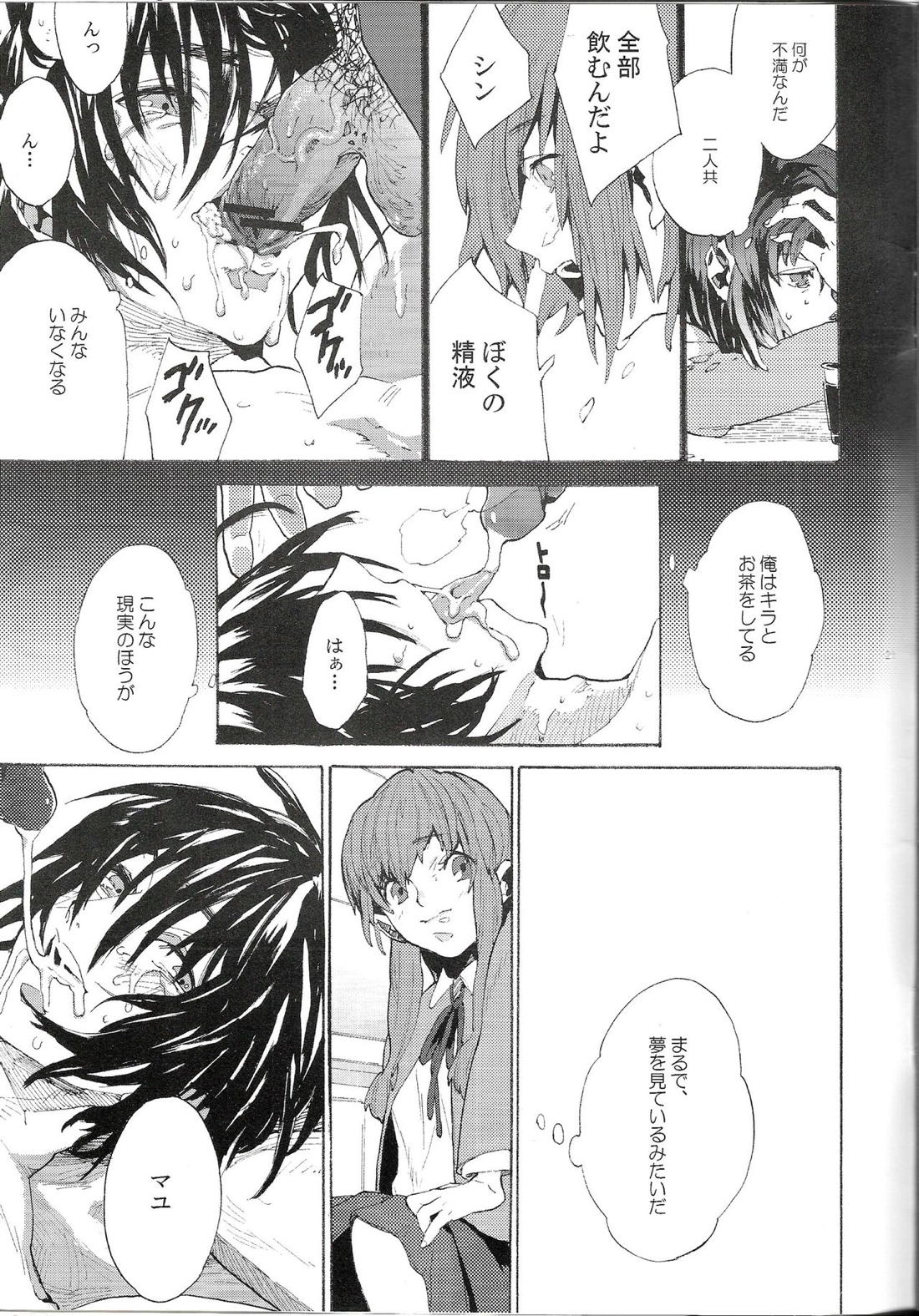 まるで夢を見ているみたい【機動戦士ガンダムSEED DESTINY/キラシン】 page 20