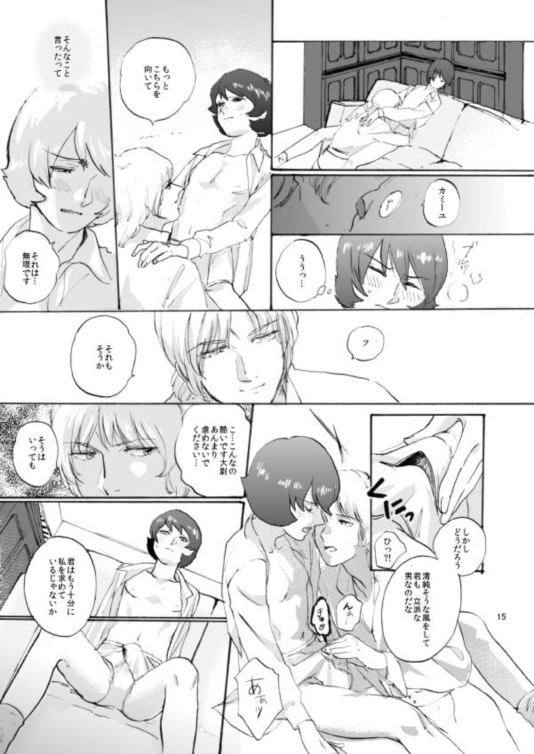 WITH ALL LOVE OF SORROW, DEAR ALPHARD【機動戦士Ζガンダム/クワトロ×カミーユ】 page 14