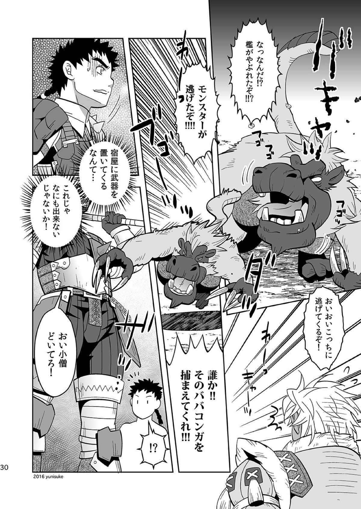 見習いハンターもラクじゃない！？【モンスターハンター/ランス×アシラ】 page 29