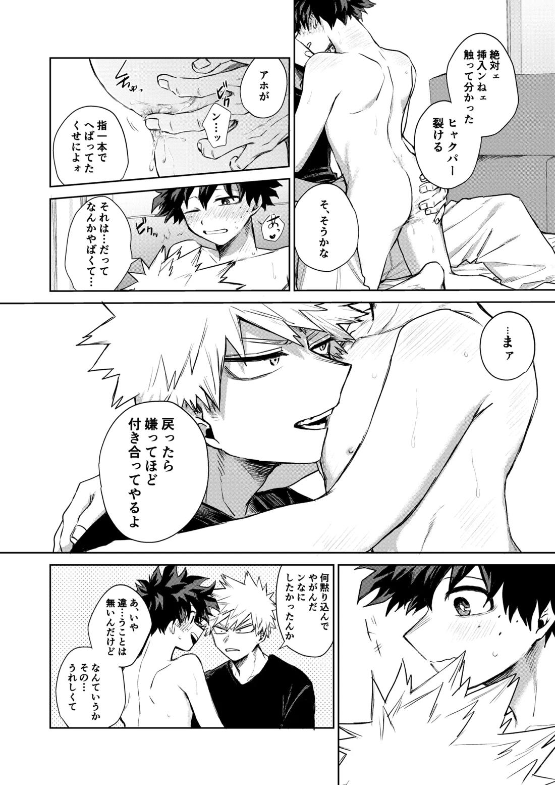 どうしたってお前は、【僕のヒーローアカデミア/勝デク】 page 25