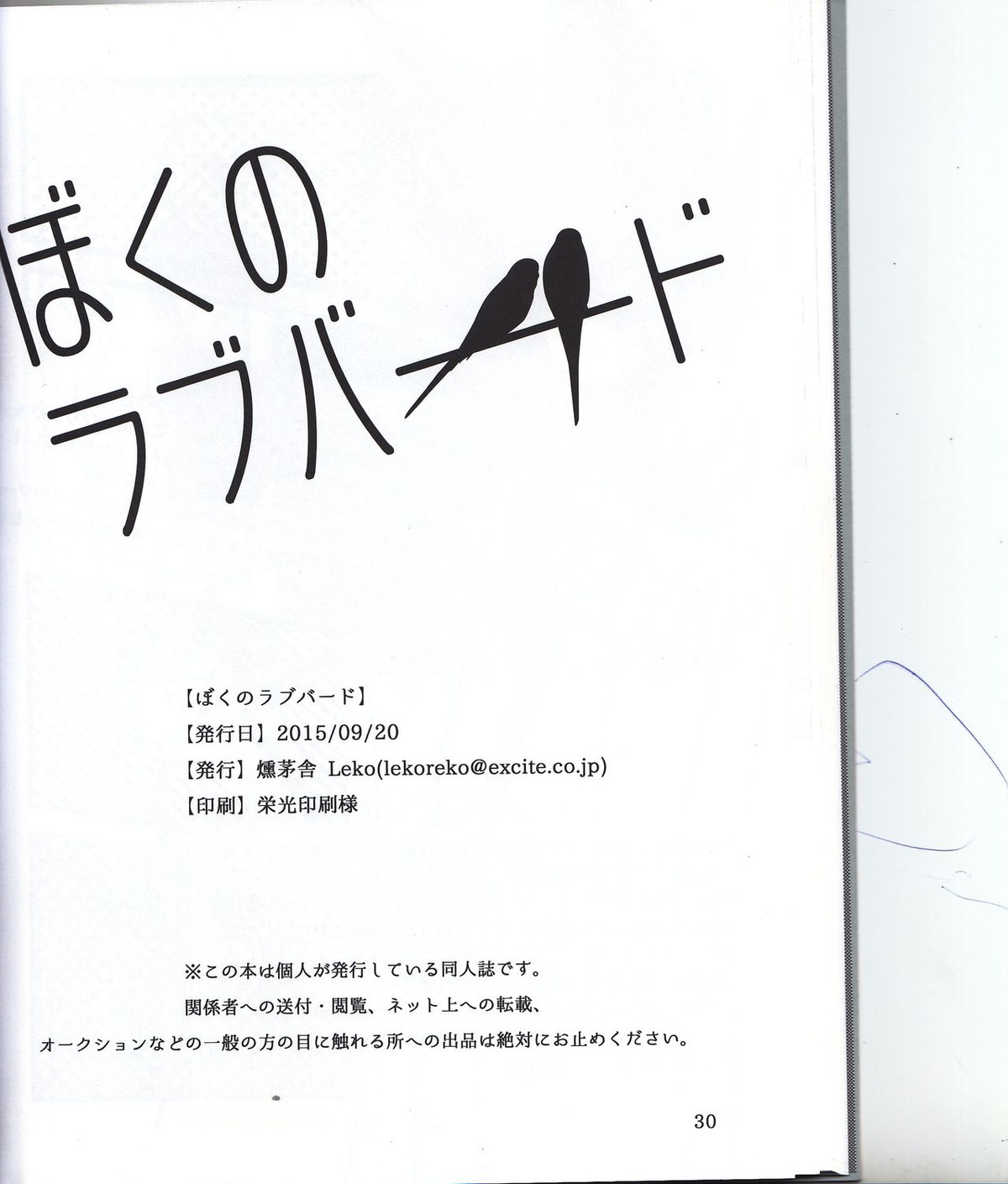 ぼくのラブバード【僕のヒーローアカデミア】 page 29