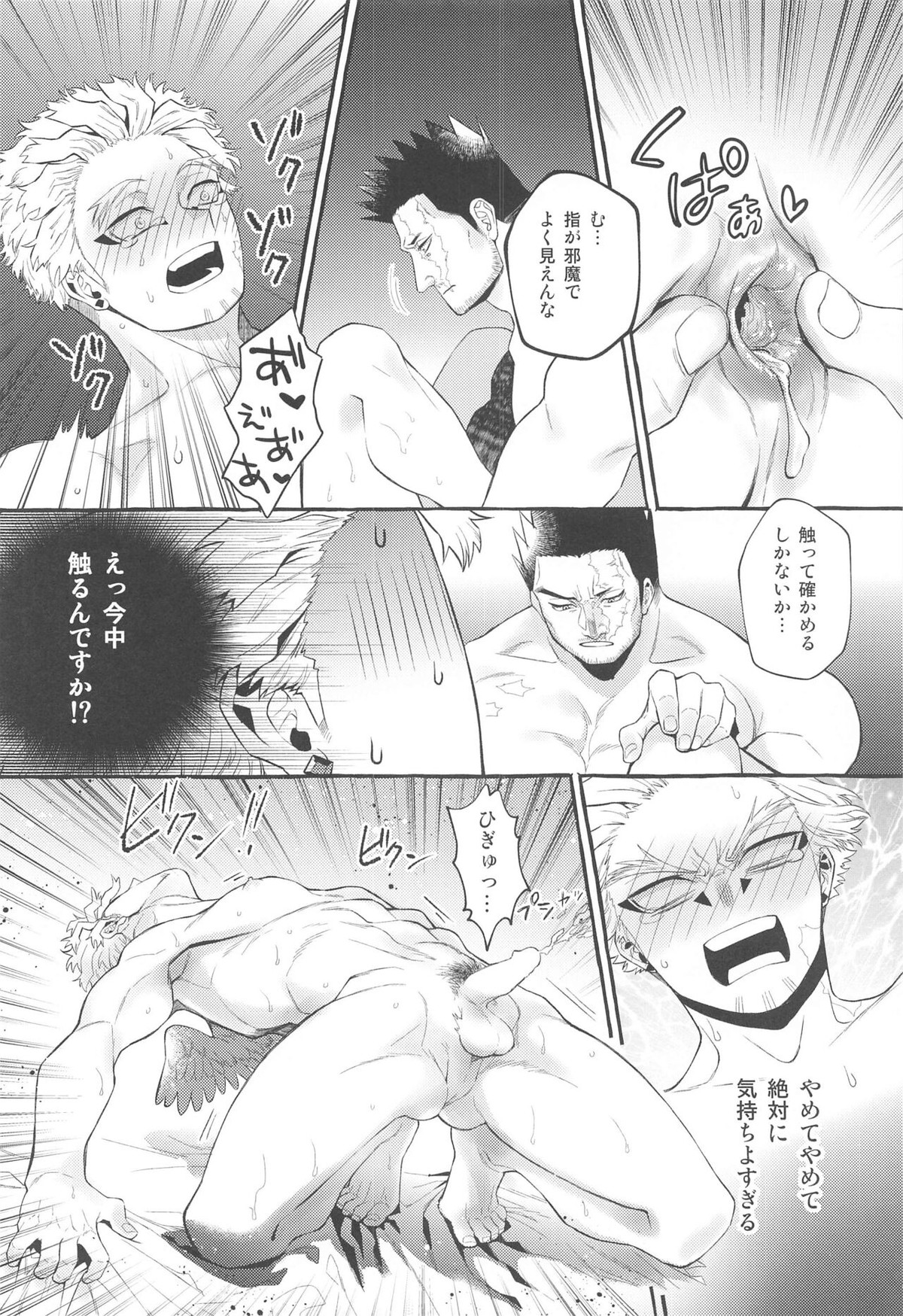 お互いに抱く気満々初夜【僕のヒーローアカデミア/エンデヴァー×ホークス】 page 17
