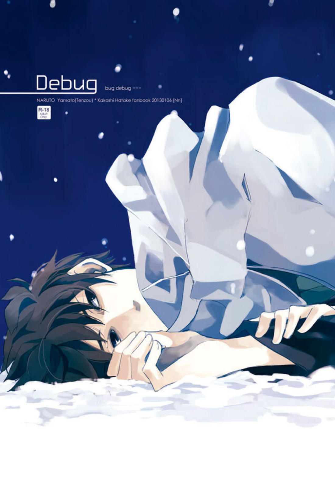 Debug【NARUTO/テンカカ】