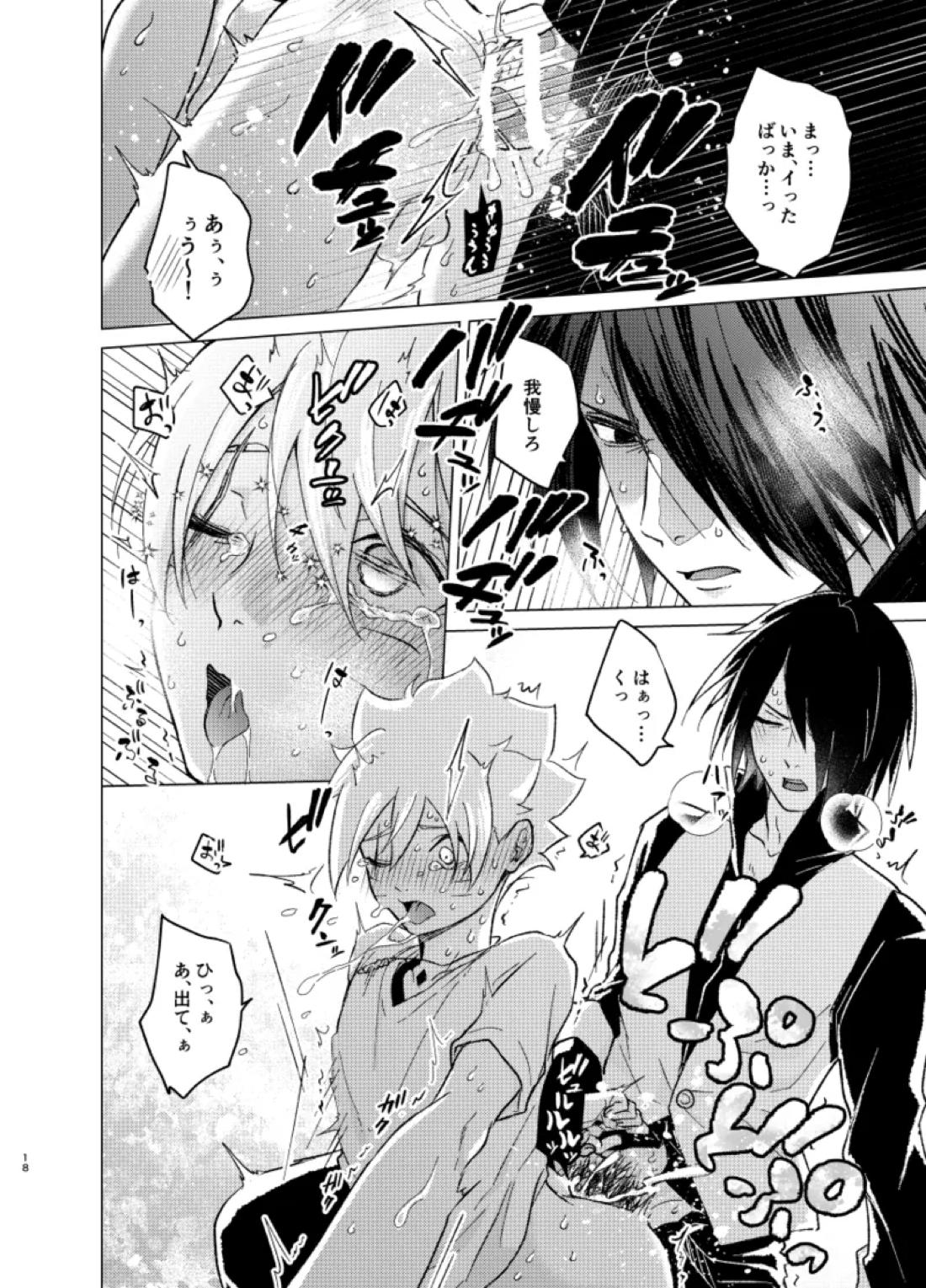 ひな鳥は巣には帰れない【NARUTO/サスボル】 page 18