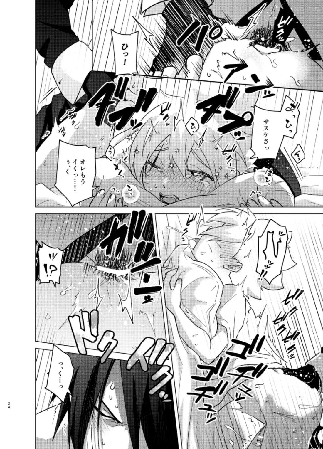 ひな鳥は巣には帰れない【NARUTO/サスボル】 page 24